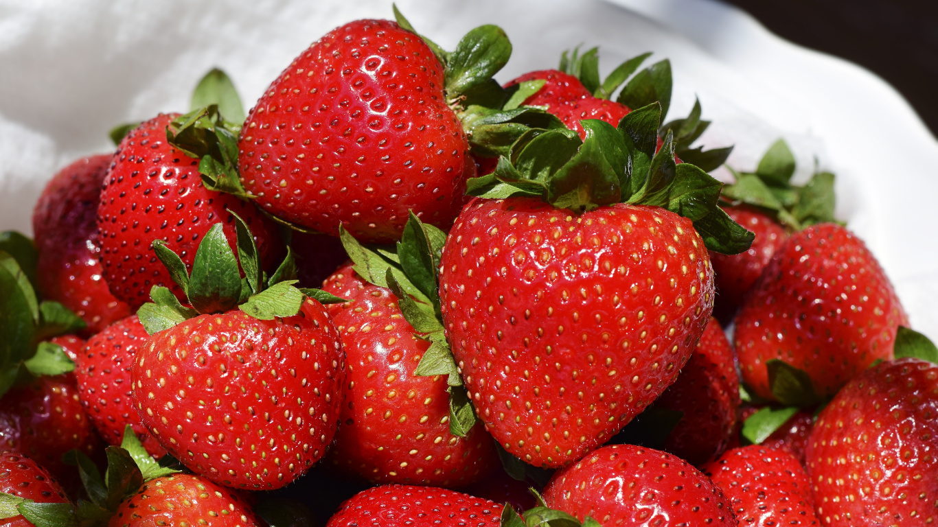 Fraises Sur Bol en Céramique Blanche. Wallpaper in 1366x768 Resolution