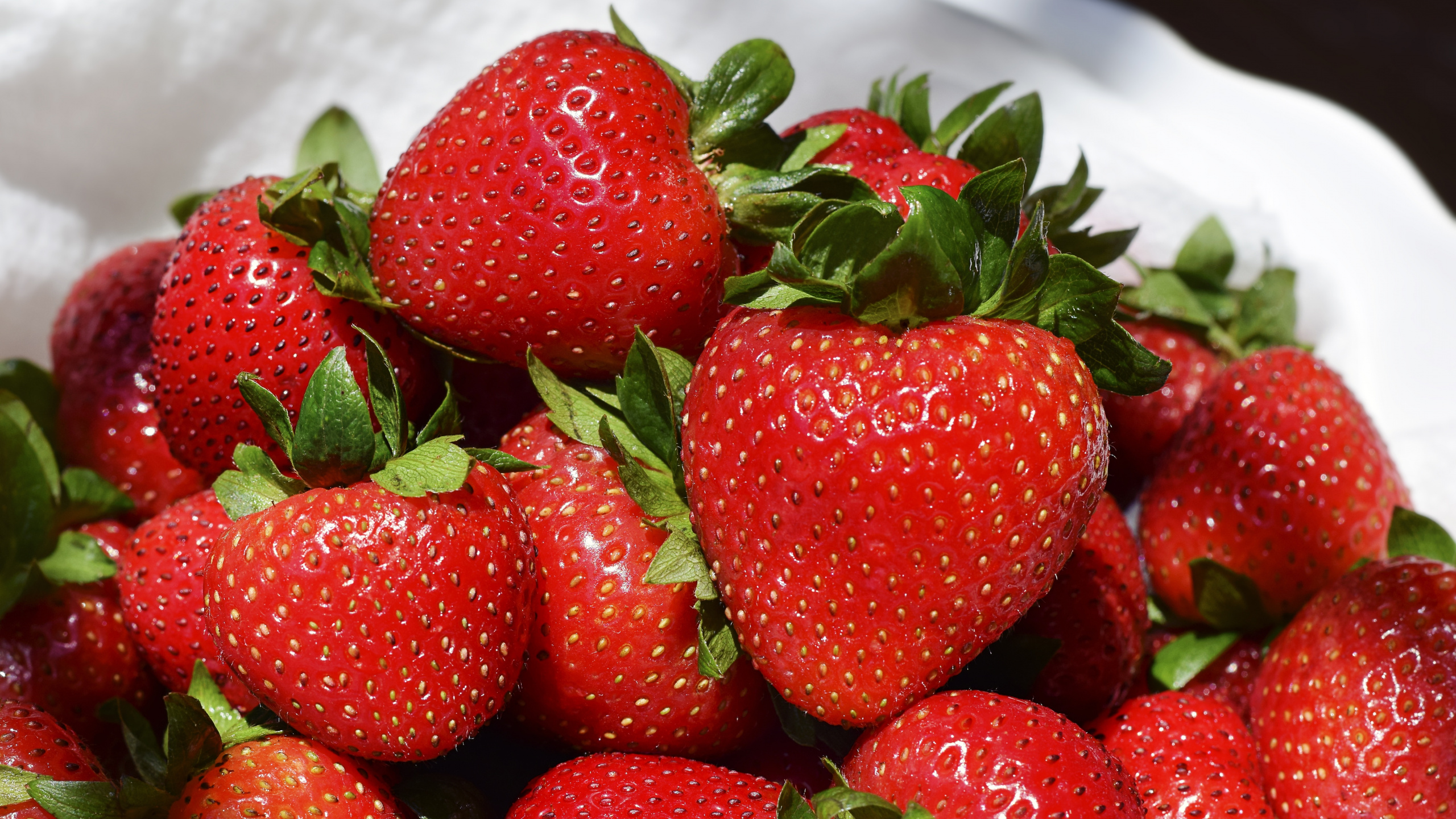 Fraises Sur Bol en Céramique Blanche. Wallpaper in 2560x1440 Resolution