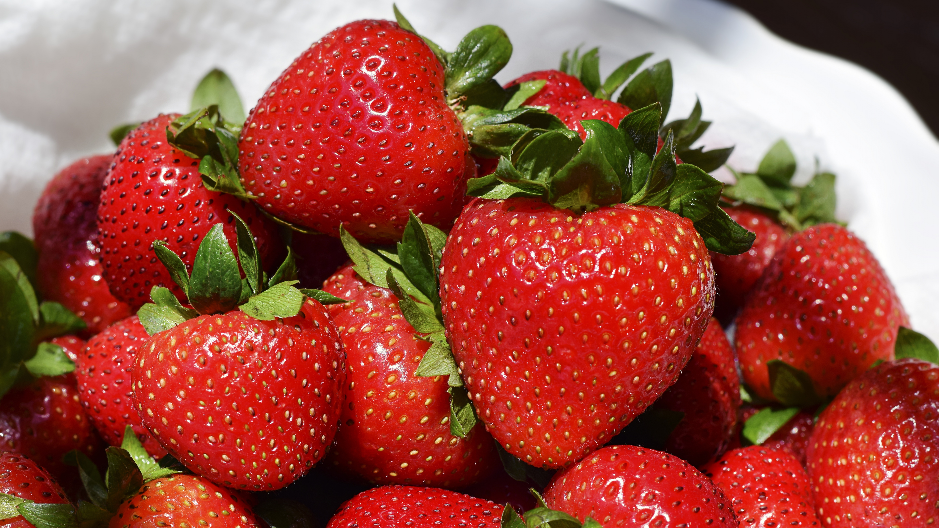 Fraises Sur Bol en Céramique Blanche. Wallpaper in 3840x2160 Resolution