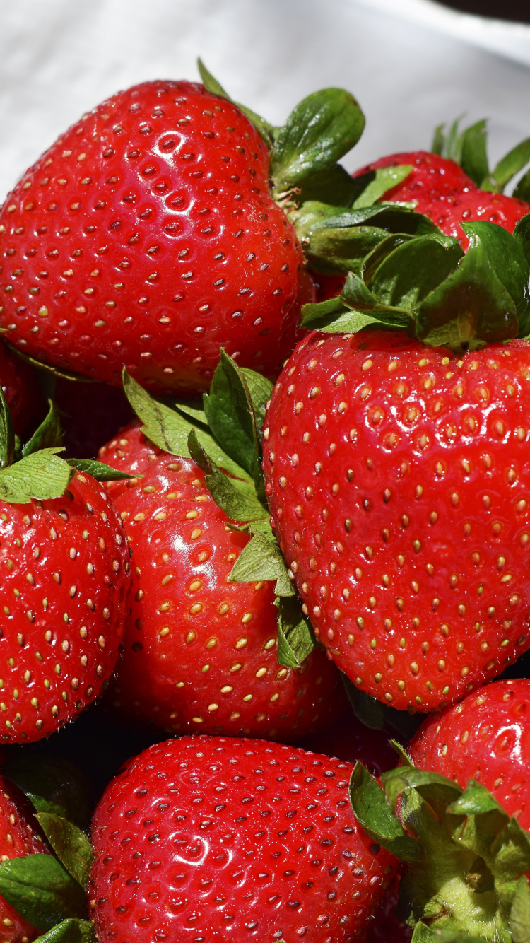 Fraises Sur Bol en Céramique Blanche. Wallpaper in 750x1334 Resolution