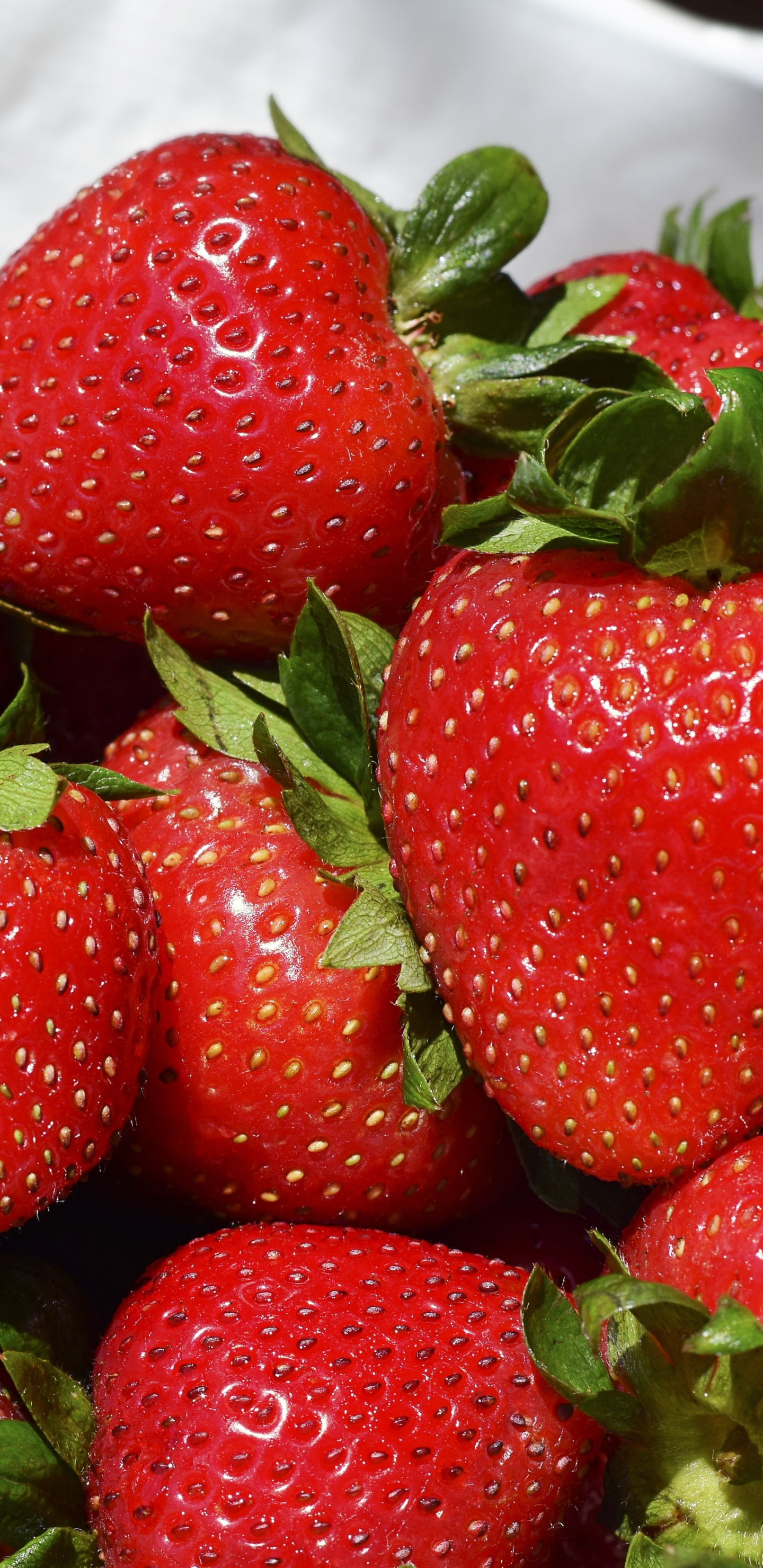 Strawberries on White Ceramic Bowl. Wallpaper in 1440x2960 Resolution