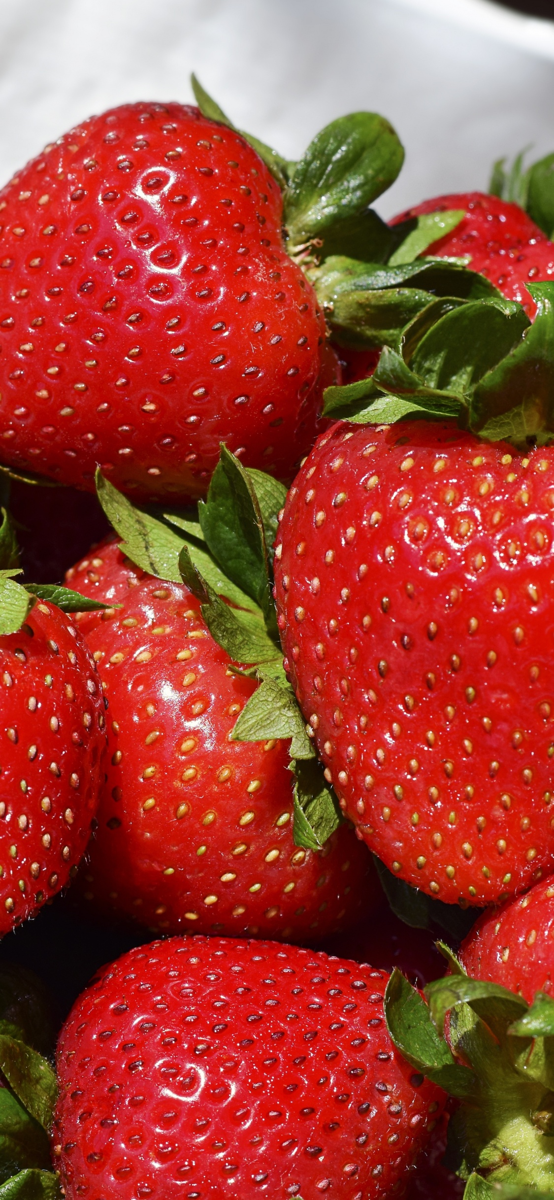 Erdbeeren Auf Weißer Keramikschale. Wallpaper in 1125x2436 Resolution