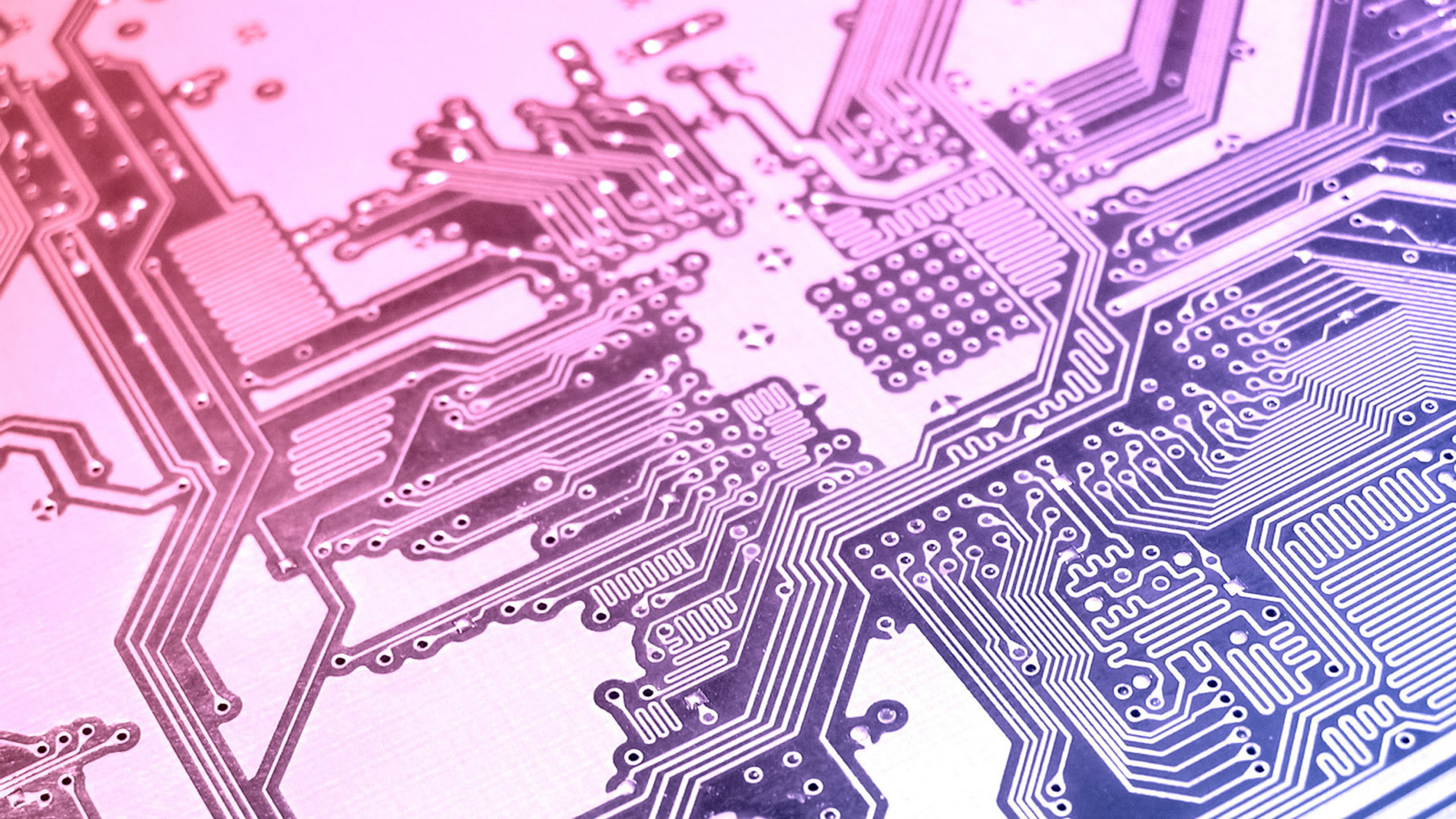 Rosa Und Schwarze Abstrakte Malerei. Wallpaper in 2560x1440 Resolution