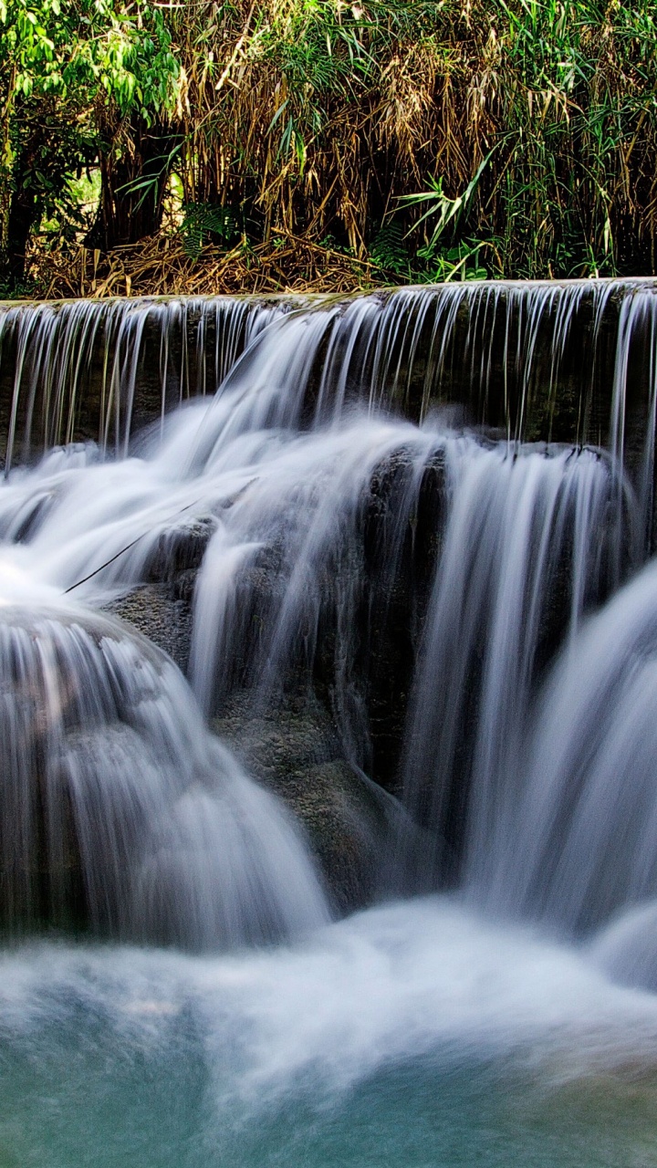 Water Falls in The Forest. Wallpaper in 720x1280 Resolution