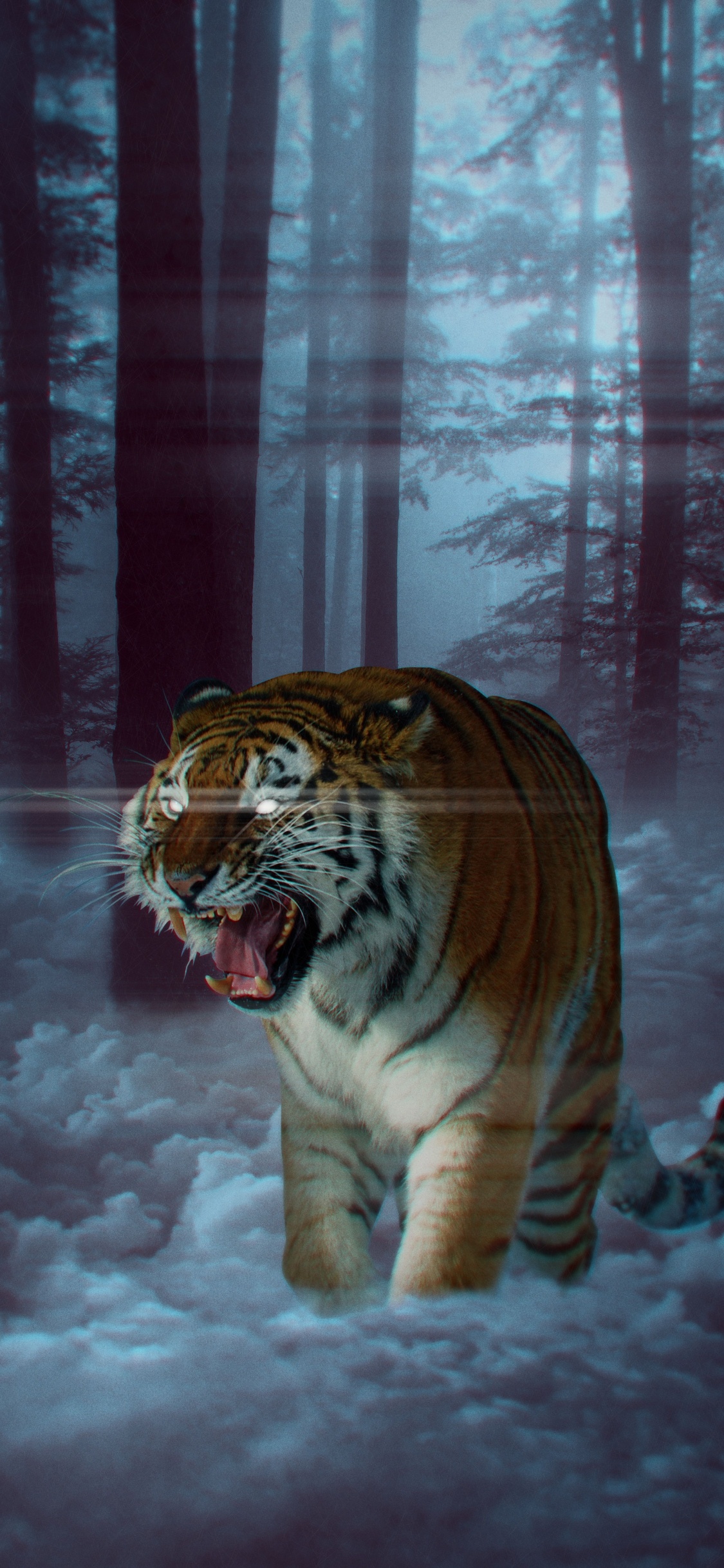 Weißer Tiger Auf Schneebedecktem Boden. Wallpaper in 1125x2436 Resolution