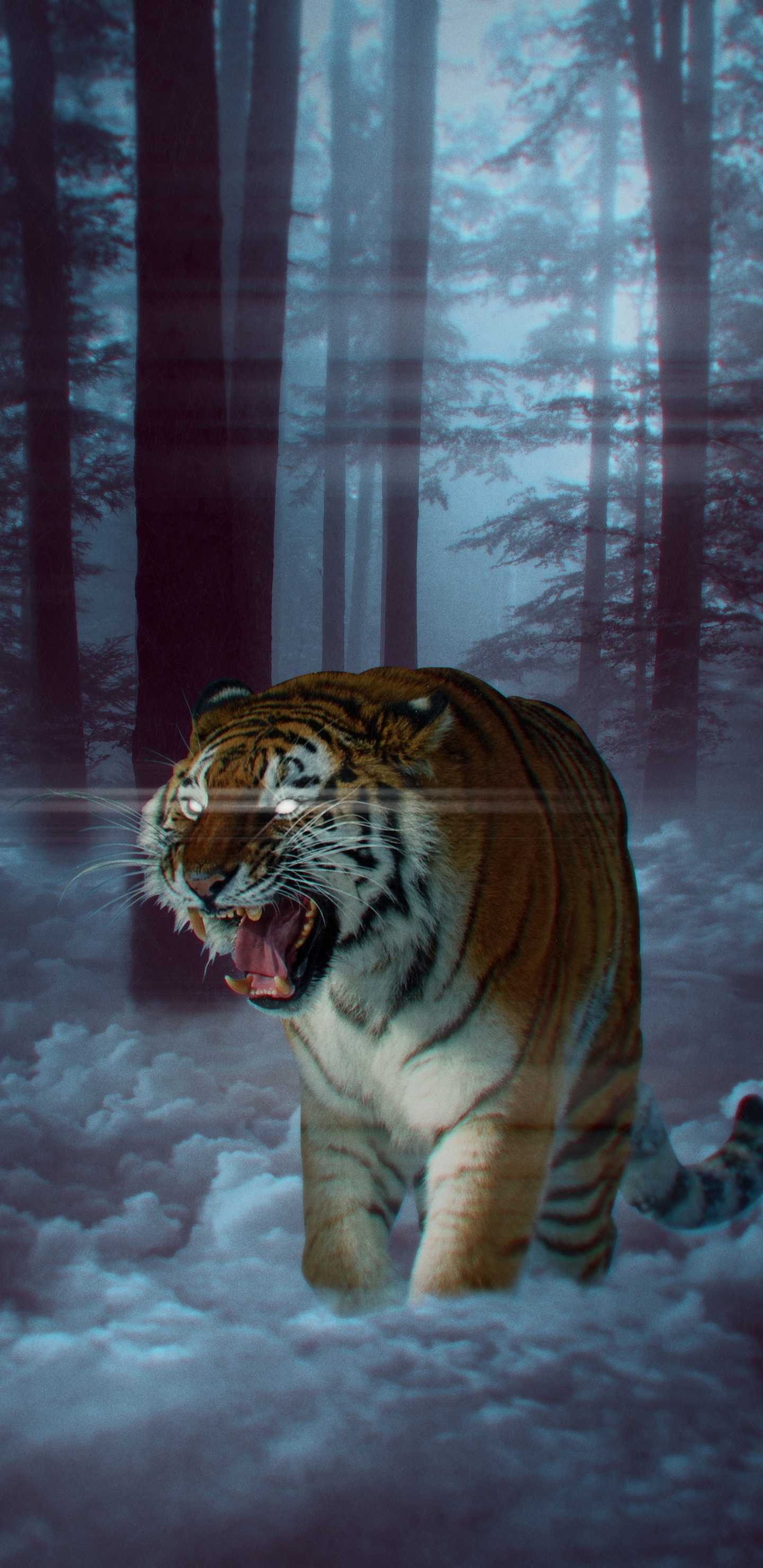 Tigre Blanc Sur Sol Couvert de Neige. Wallpaper in 1440x2960 Resolution