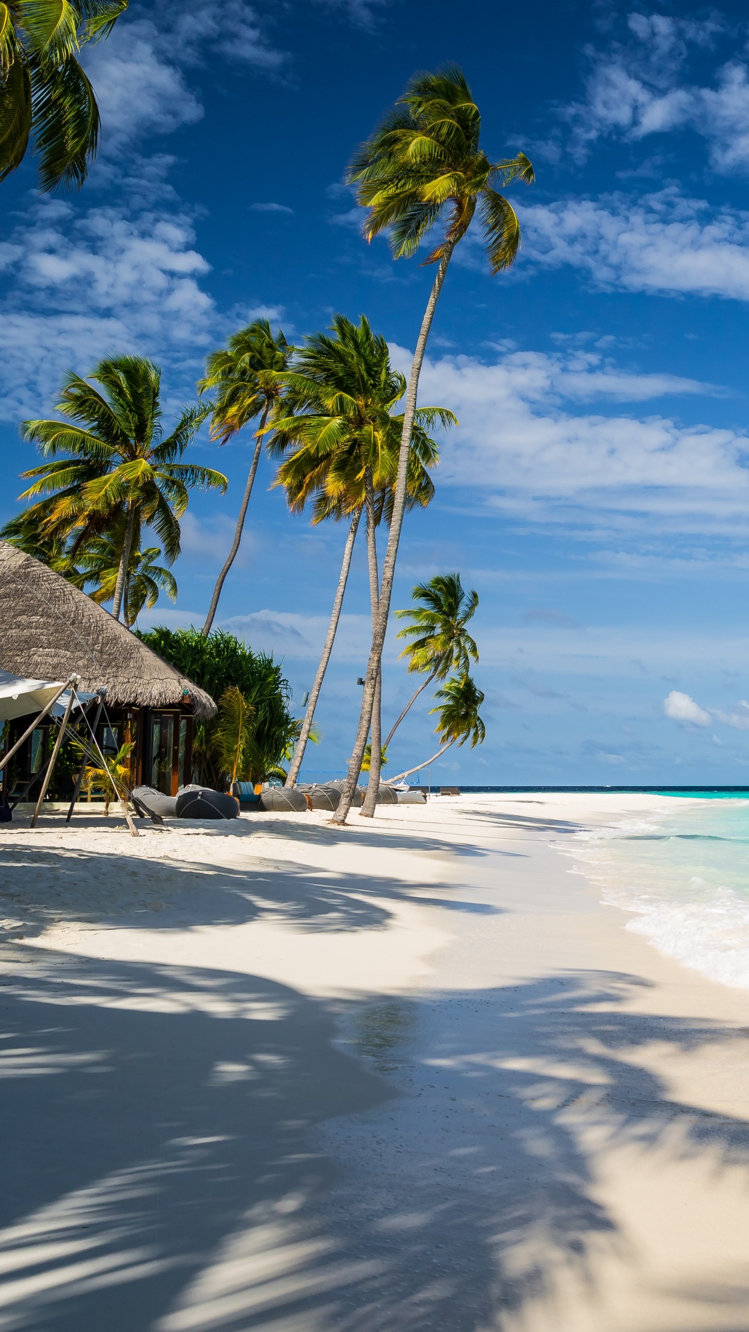 White Bird on Beach Shore During Daytime. Wallpaper in 1080x1920 Resolution