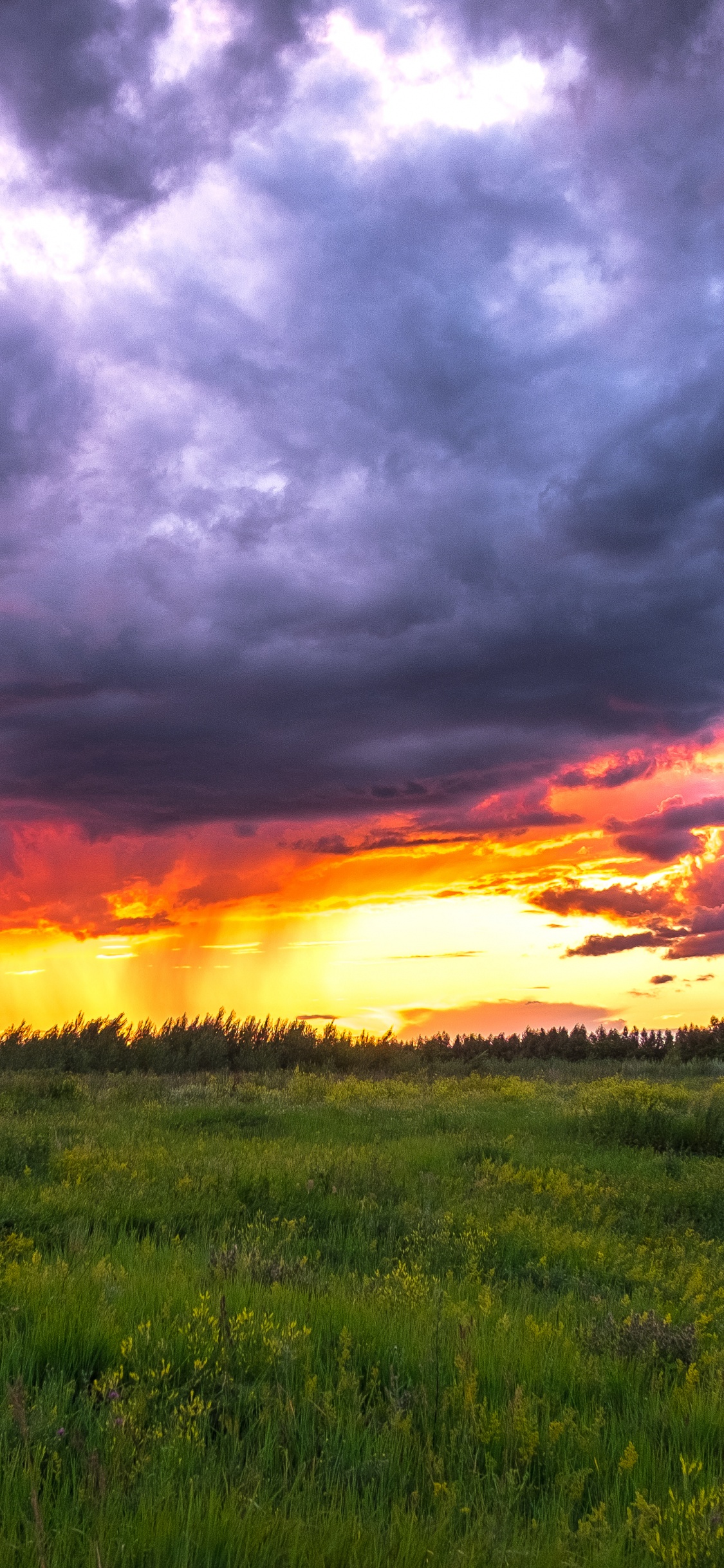 Green Grass Field Under Cloudy Sky During Sunset. Wallpaper in 1125x2436 Resolution