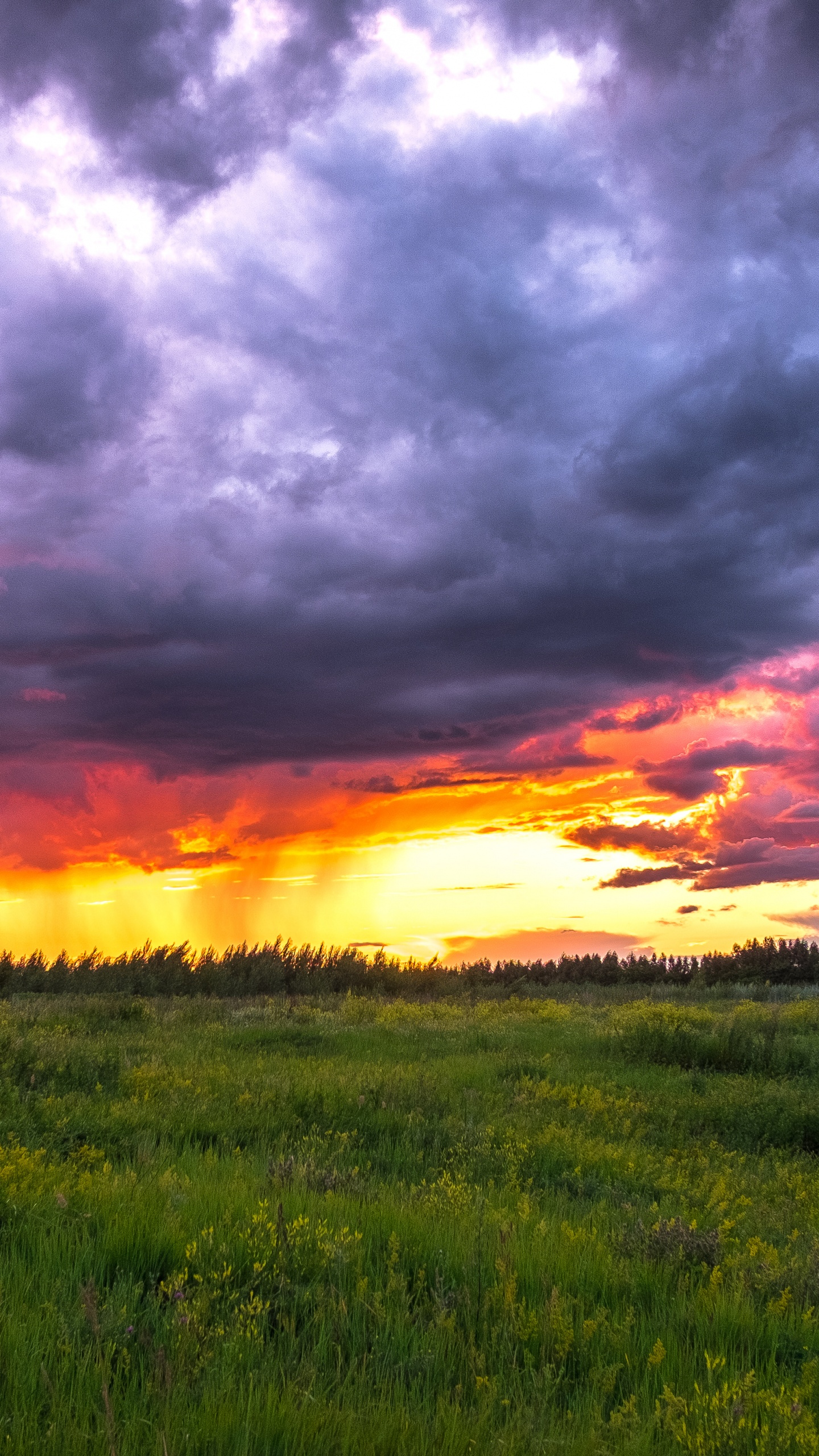 Green Grass Field Under Cloudy Sky During Sunset. Wallpaper in 1440x2560 Resolution