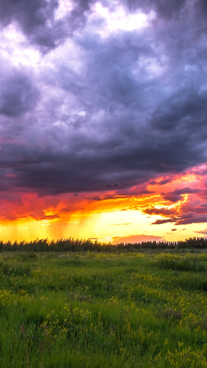 Green Grass Field Under Cloudy Sky During Sunset. Wallpaper in 720x1280 Resolution