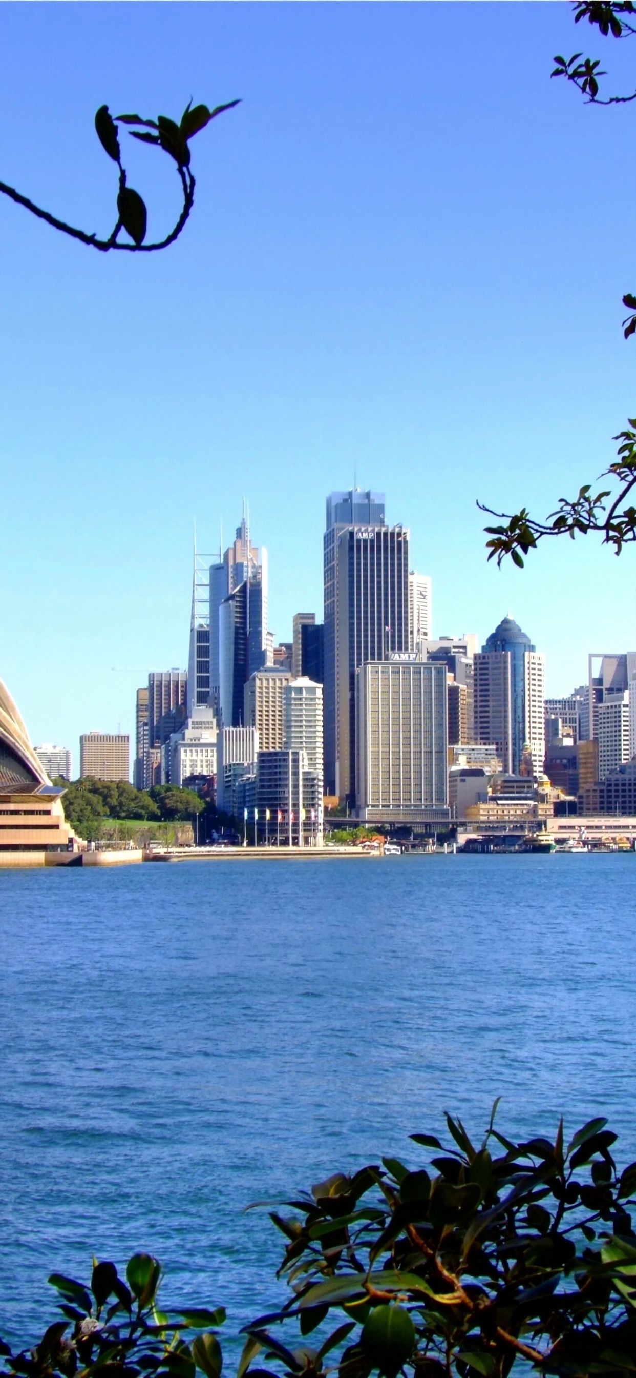 City Skyline Across Body of Water During Daytime. Wallpaper in 1242x2688 Resolution