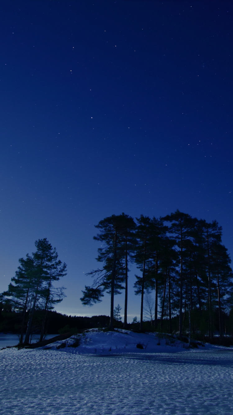 Blau, Natur, Nacht, Winter, Schnee. Wallpaper in 750x1334 Resolution