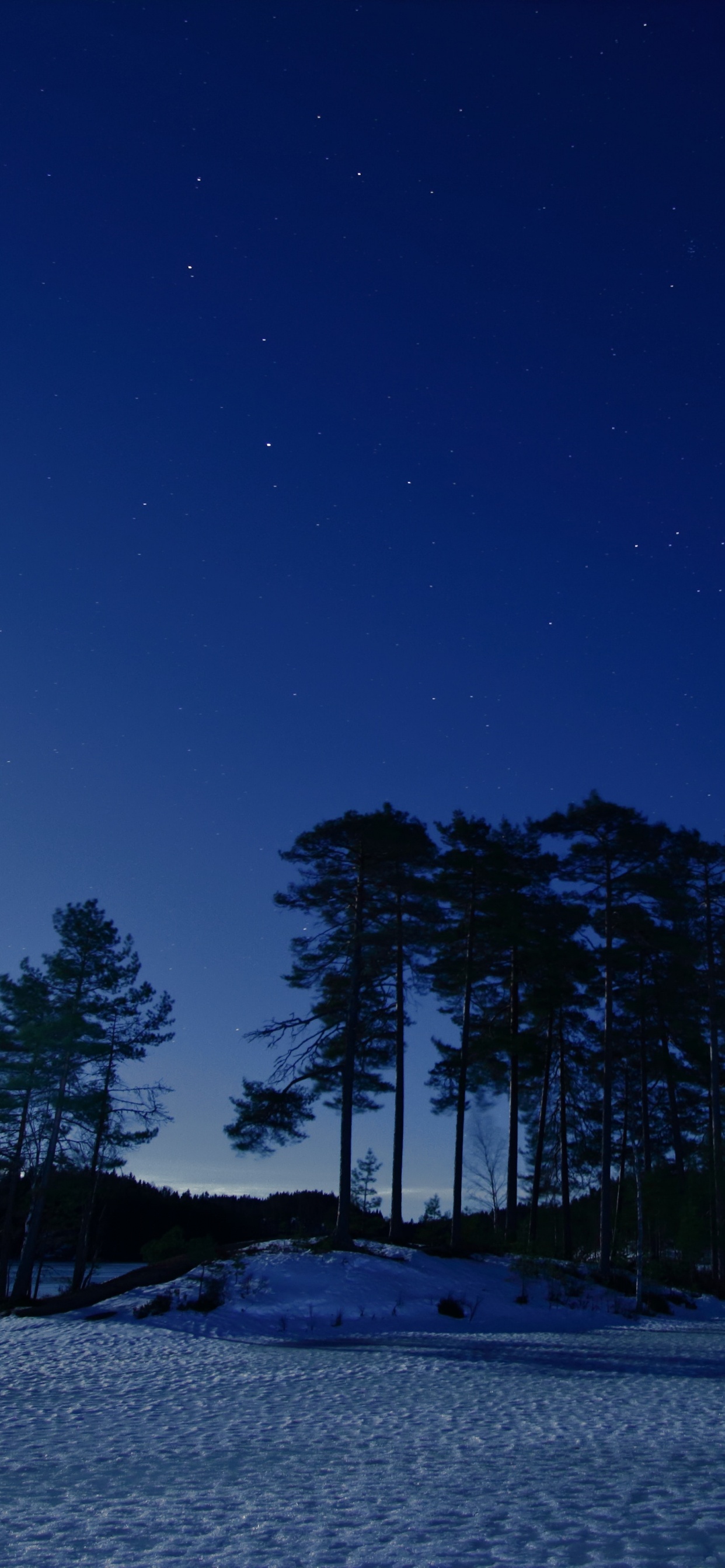 Blue, Nature, Night, Winter, Snow. Wallpaper in 1242x2688 Resolution