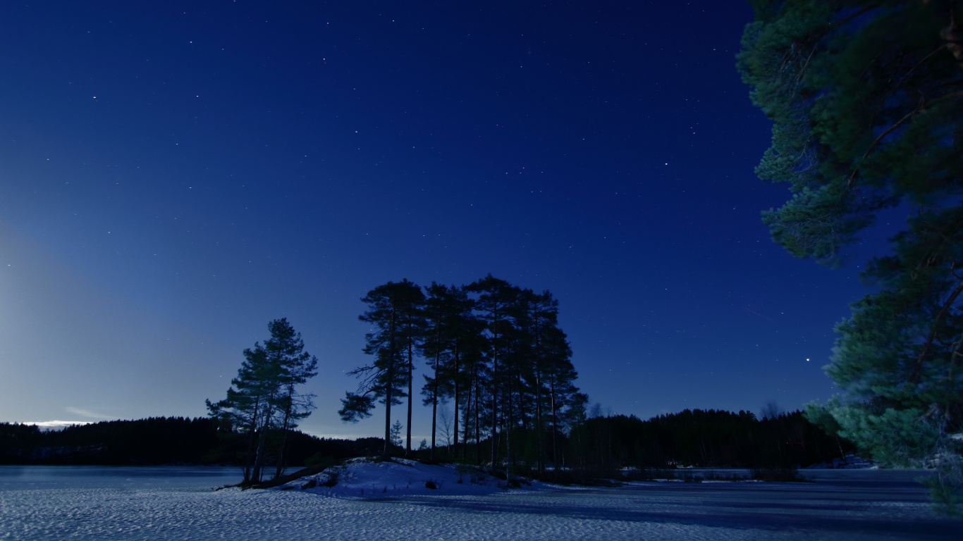 Blue, Nature, Night, Winter, Snow. Wallpaper in 1366x768 Resolution