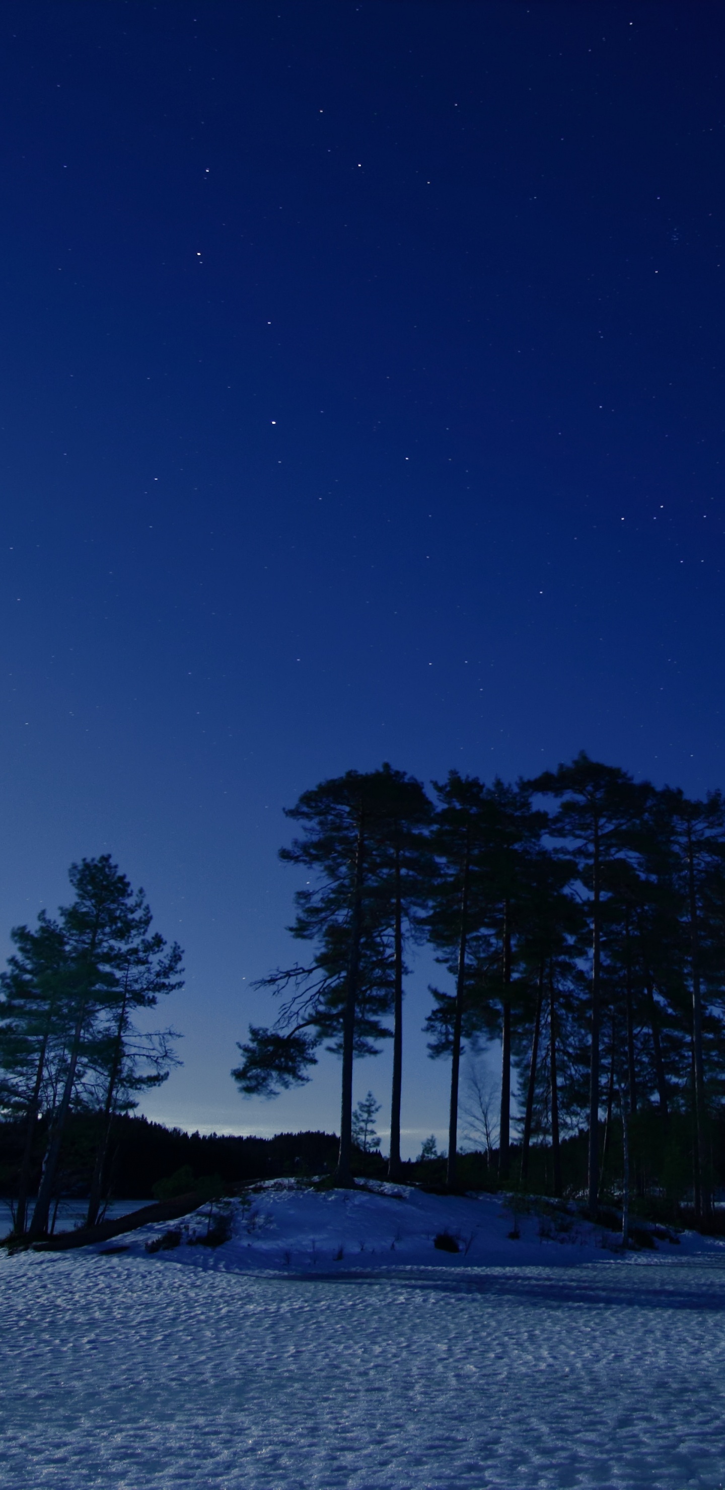 Blue, Nature, Night, Winter, Snow. Wallpaper in 1440x2960 Resolution