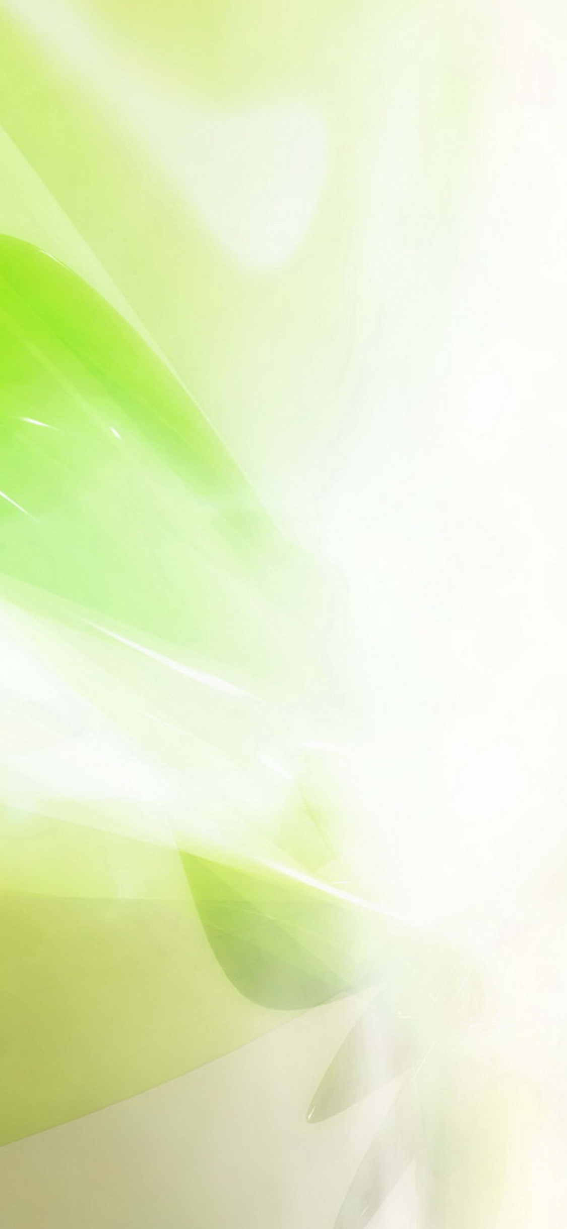 Green and White Abstract Painting. Wallpaper in 1125x2436 Resolution