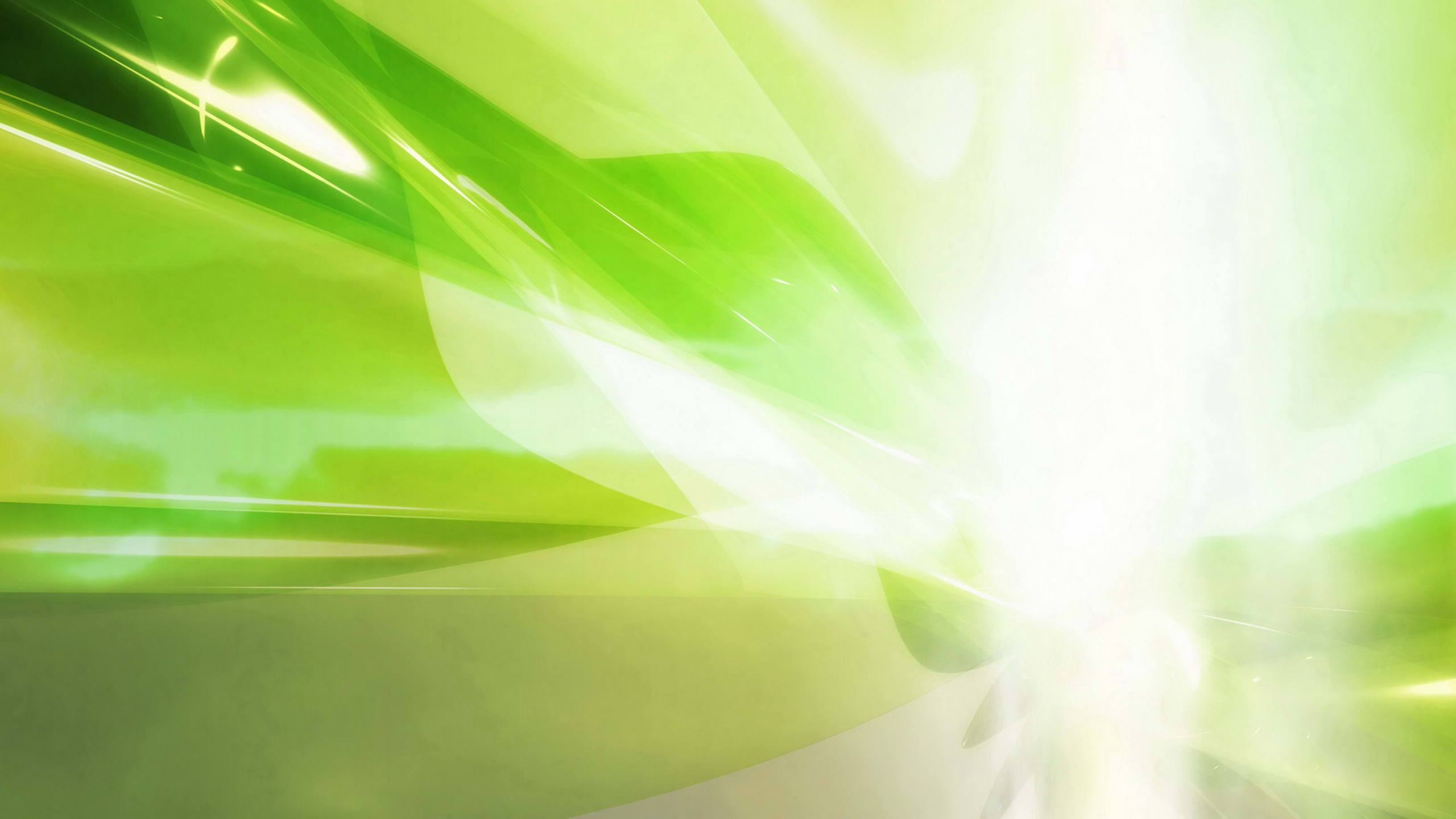 Peinture Abstraite Verte et Blanche. Wallpaper in 2560x1440 Resolution