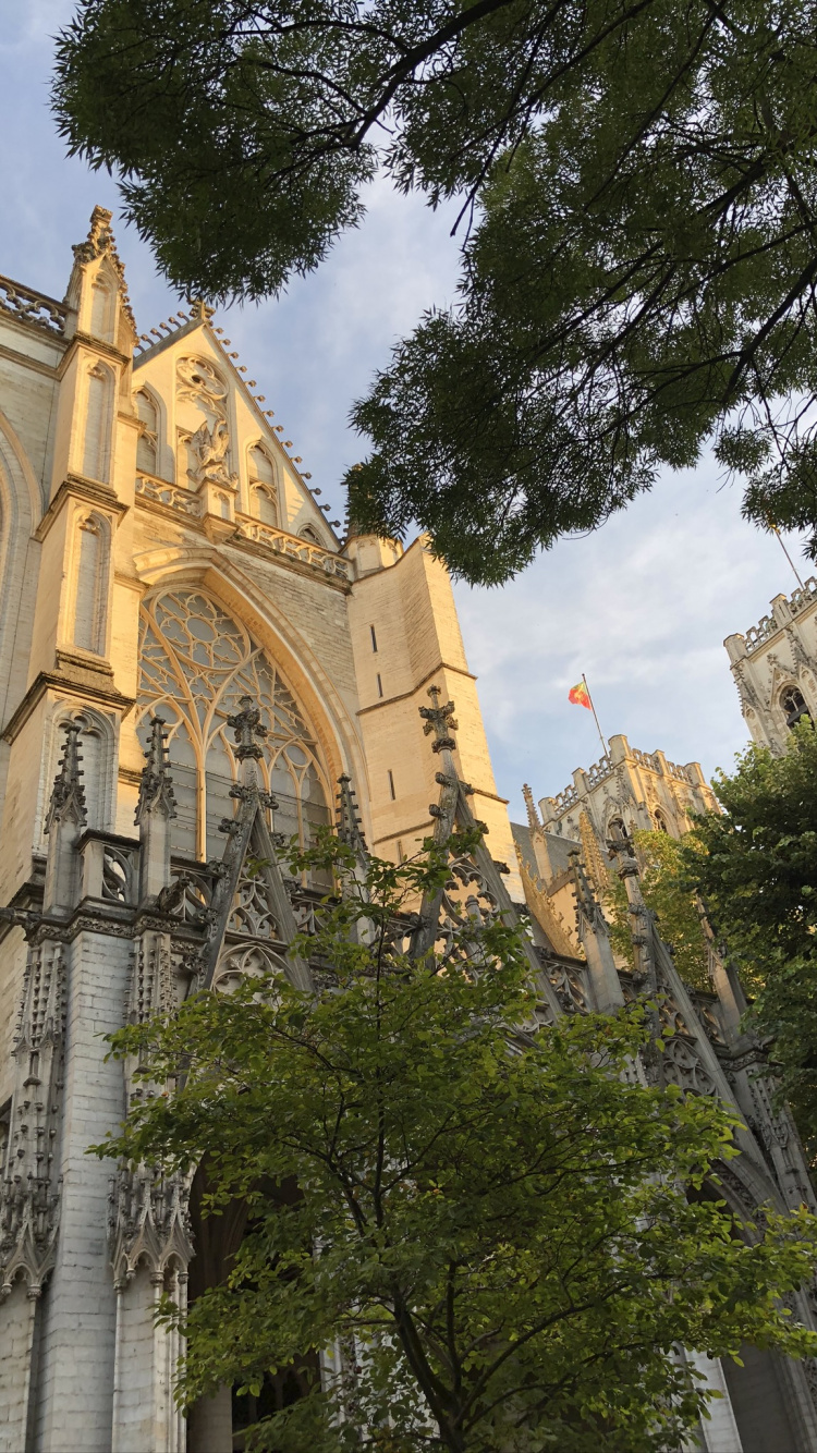 Hito, Biología, Ciencia, Fachada, la Arquitectura Medieval. Wallpaper in 750x1334 Resolution