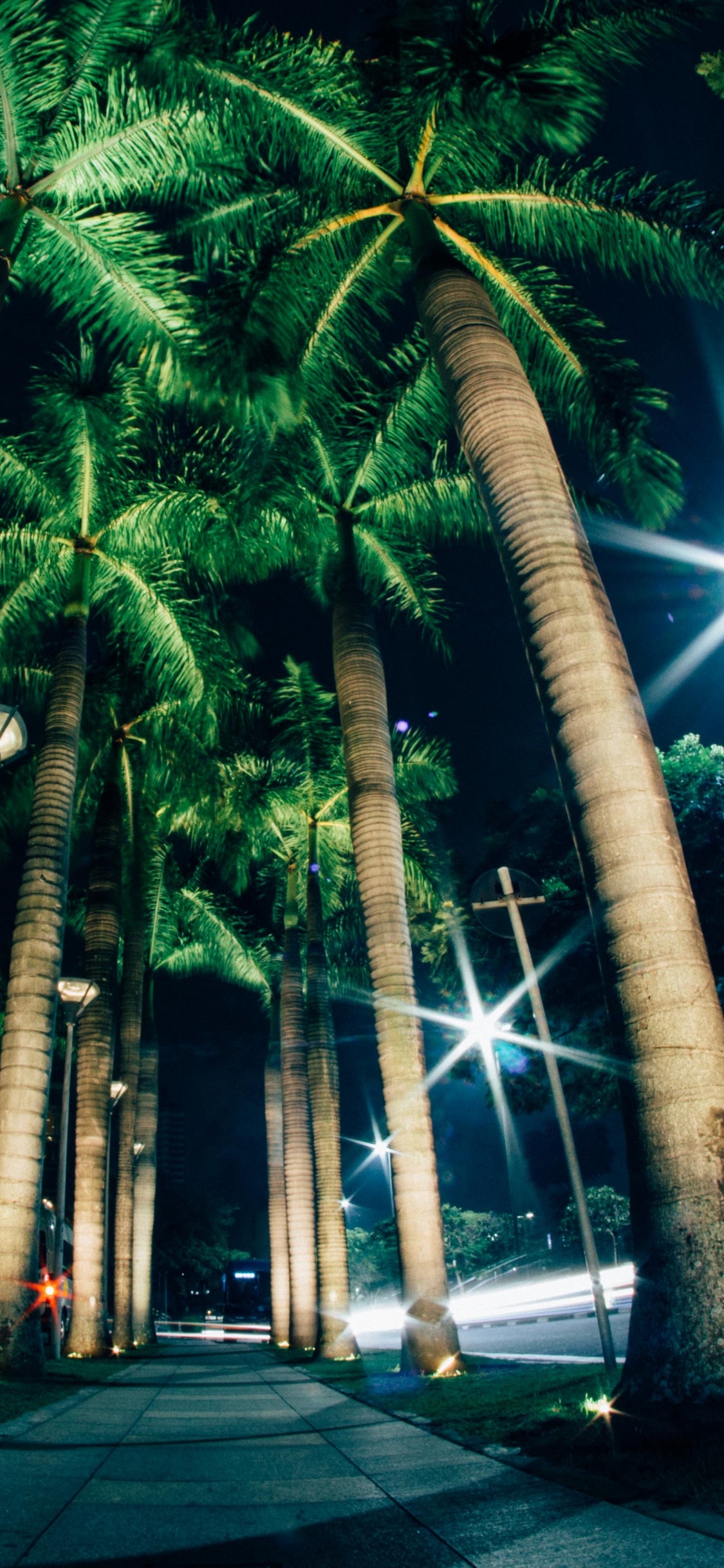 Green Palm Trees on Gray Concrete Road During Night Time. Wallpaper in 1125x2436 Resolution
