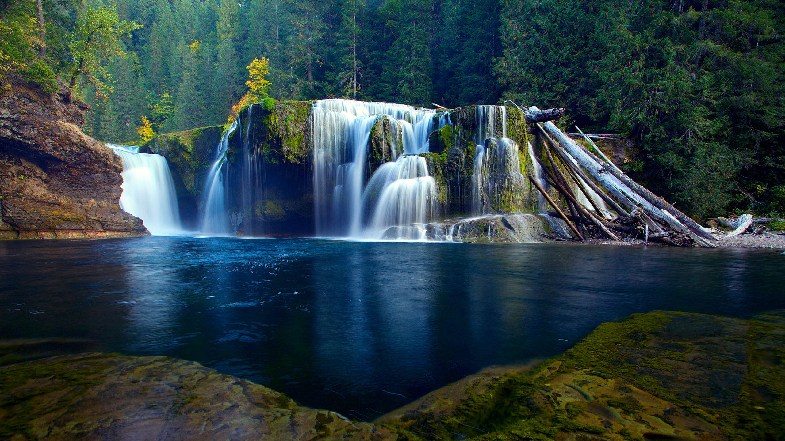 Cascadas en el Bosque Durante el Día.. Wallpaper in 2560x1440 Resolution