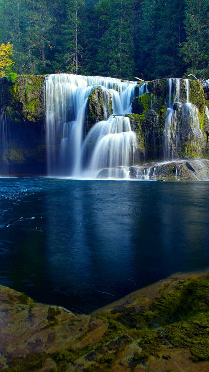 Cascadas en el Bosque Durante el Día.. Wallpaper in 720x1280 Resolution