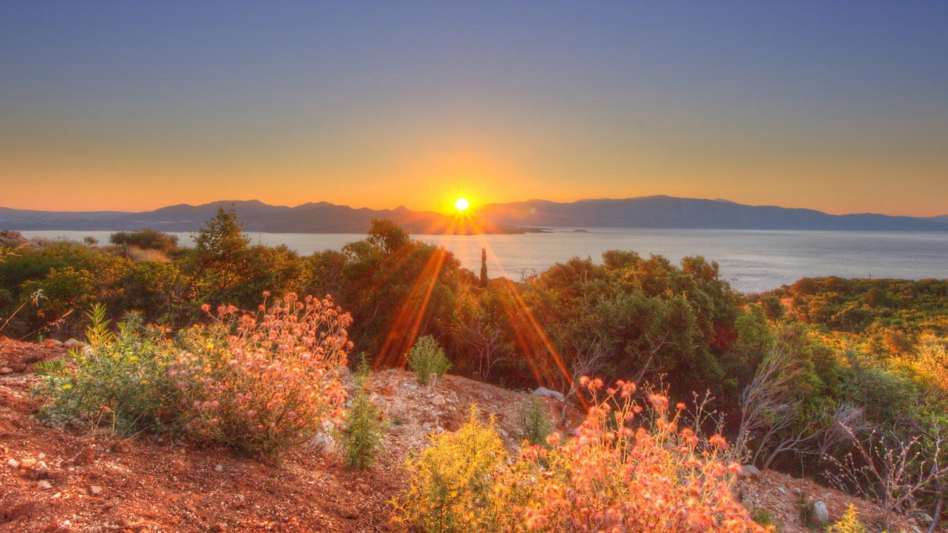 Plantes Vertes et Brunes Près D'un Plan D'eau Pendant le Coucher du Soleil. Wallpaper in 1366x768 Resolution
