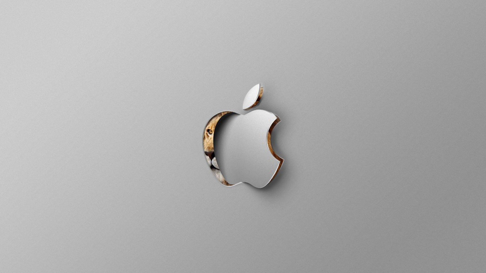 Apple, 珠宝, OS X山狮, 操作系统, 体的珠宝 壁纸 1920x1080 允许