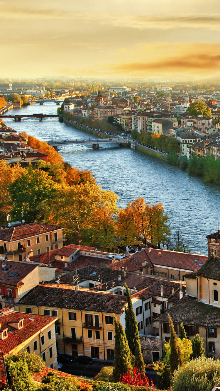 Aerial View of City Buildings Near Body of Water During Daytime. Wallpaper in 750x1334 Resolution