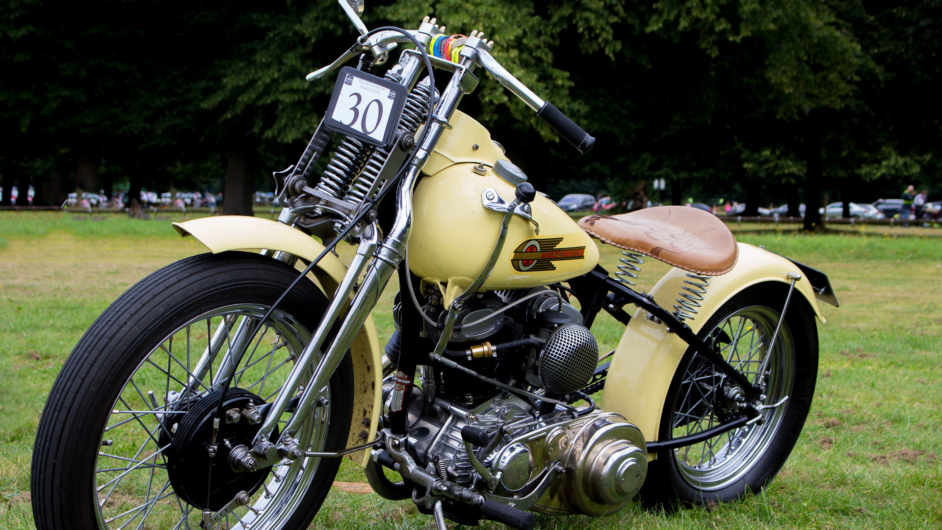 Yellow and Black Cruiser Motorcycle on Green Grass Field During Daytime. Wallpaper in 1920x1080 Resolution