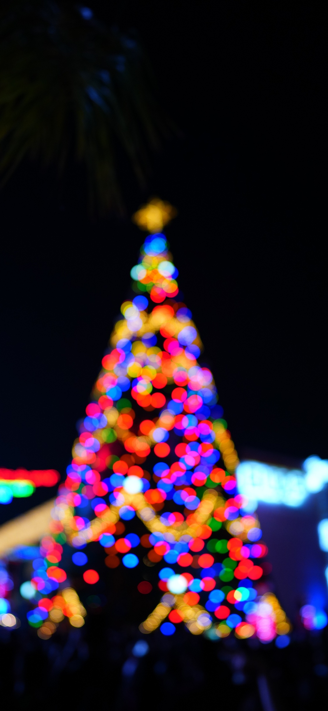 El Día De Navidad, Evento, Diseño de Interiores, Poca Profundidad de Foco, Navidad. Wallpaper in 1125x2436 Resolution