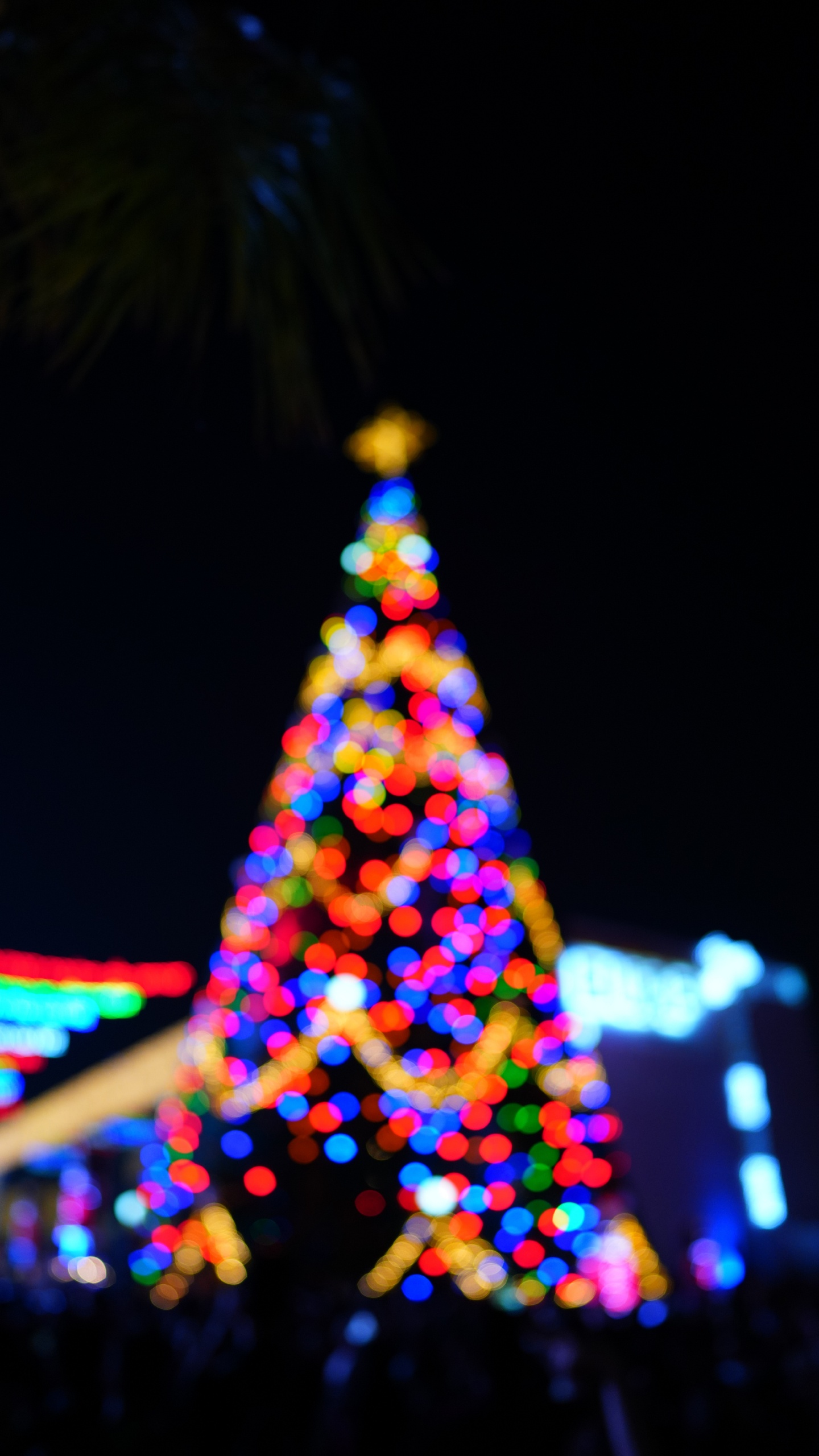 El Día De Navidad, Evento, Diseño de Interiores, Poca Profundidad de Foco, Navidad. Wallpaper in 1440x2560 Resolution