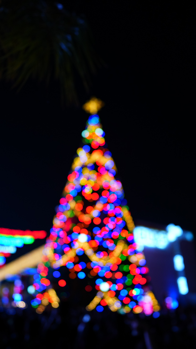 El Día De Navidad, Evento, Diseño de Interiores, Poca Profundidad de Foco, Navidad. Wallpaper in 750x1334 Resolution