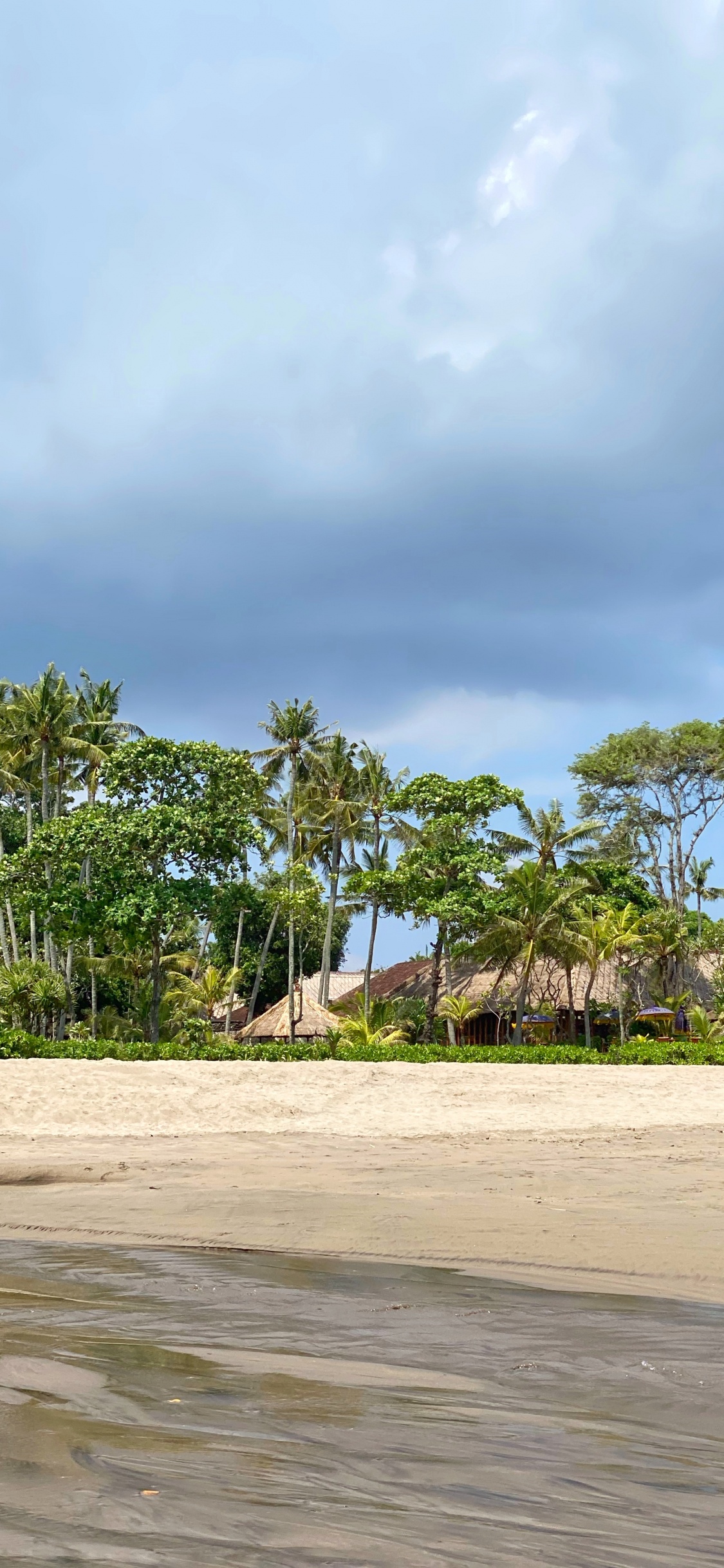 Beach, Palm Trees, Water, Tourism, Vegetation. Wallpaper in 1125x2436 Resolution