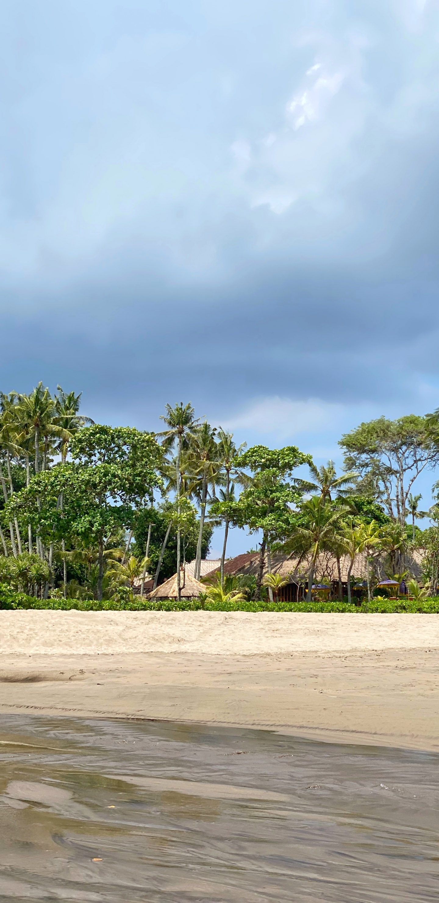 Beach, Palm Trees, Water, Tourism, Vegetation. Wallpaper in 1440x2960 Resolution