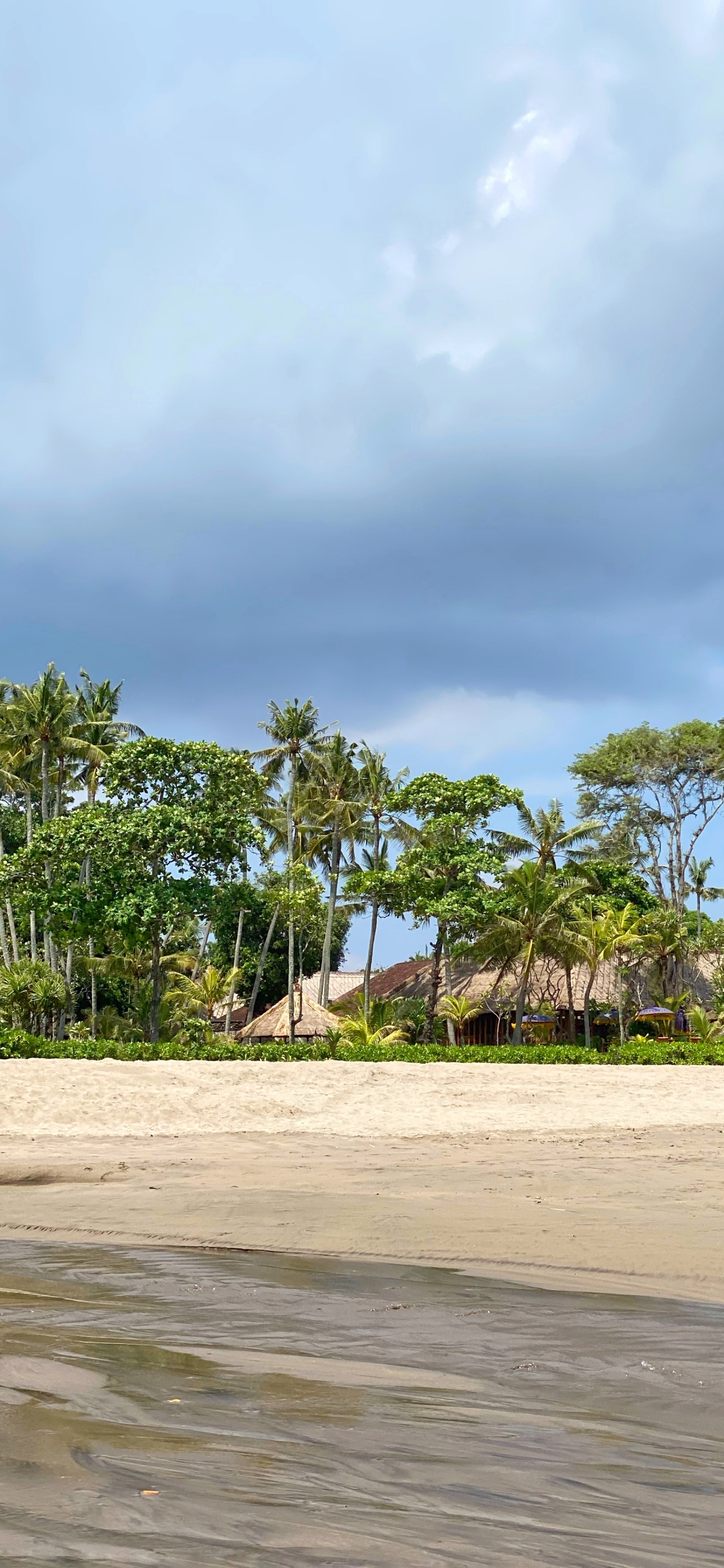 Strand, Palme, Wasser, Tourismus, Vegetation. Wallpaper in 1242x2688 Resolution