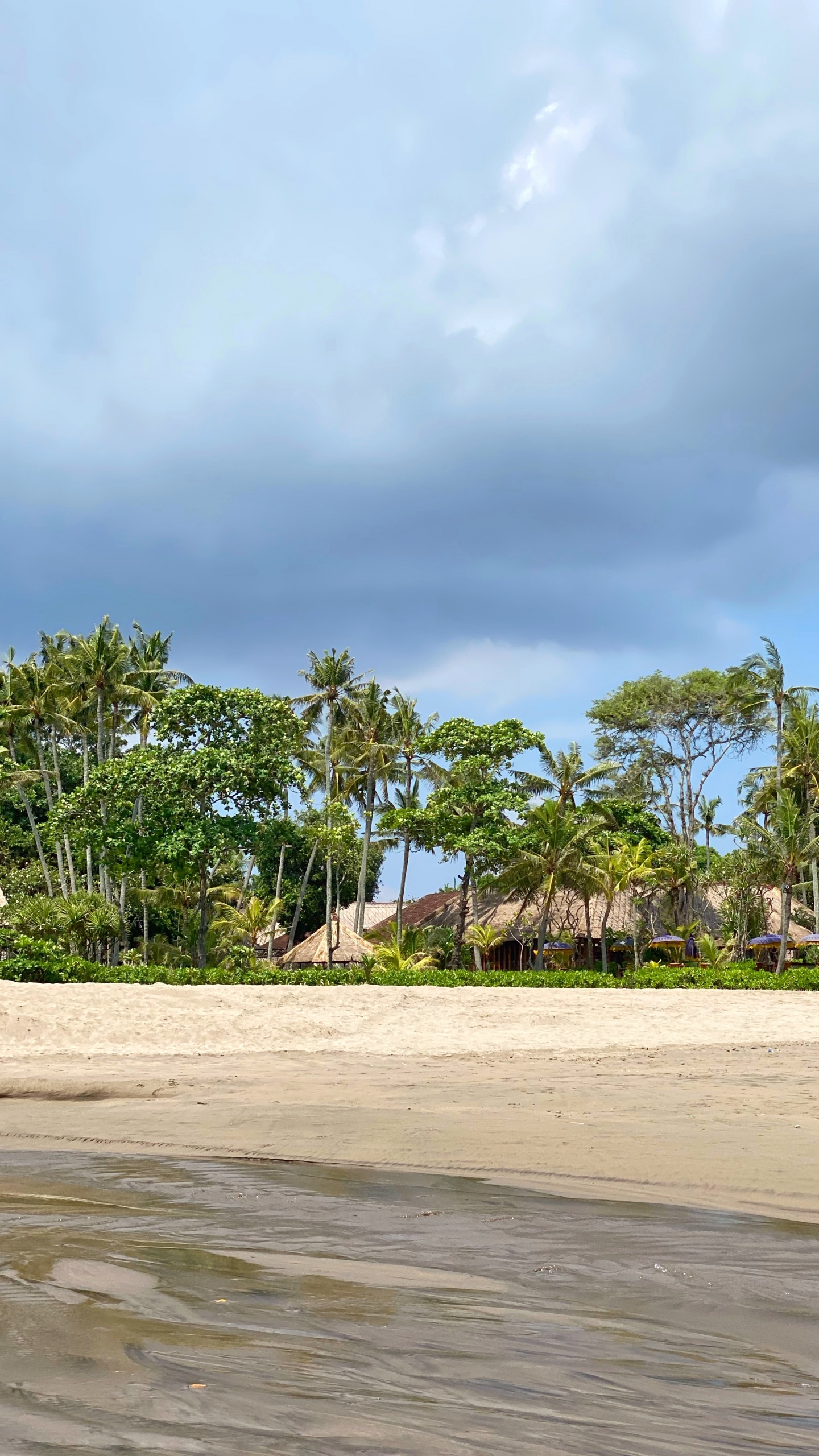 Strand, Palme, Wasser, Tourismus, Vegetation. Wallpaper in 1440x2560 Resolution