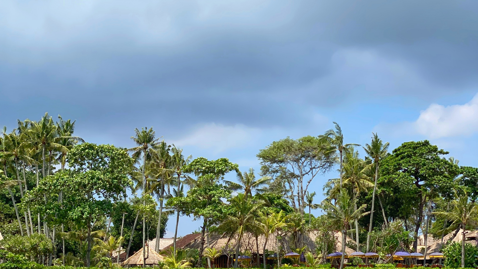 Strand, Palme, Wasser, Tourismus, Vegetation. Wallpaper in 1920x1080 Resolution