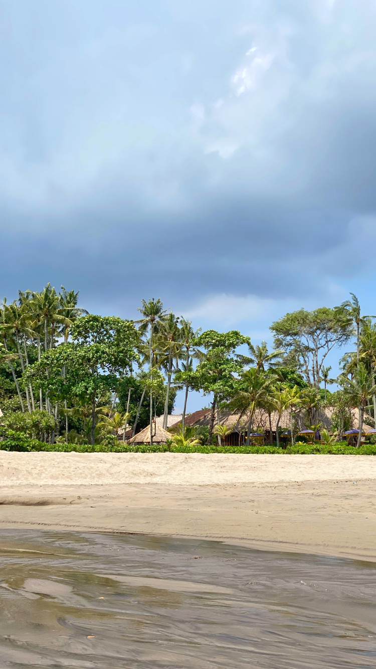 Strand, Palme, Wasser, Tourismus, Vegetation. Wallpaper in 750x1334 Resolution