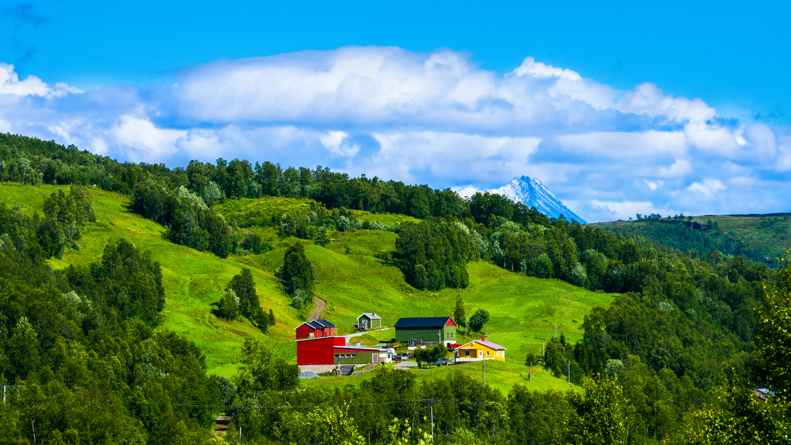 Red and White House on Green Grass Field Under Blue Sky and White Clouds During Daytime. Wallpaper in 2560x1440 Resolution