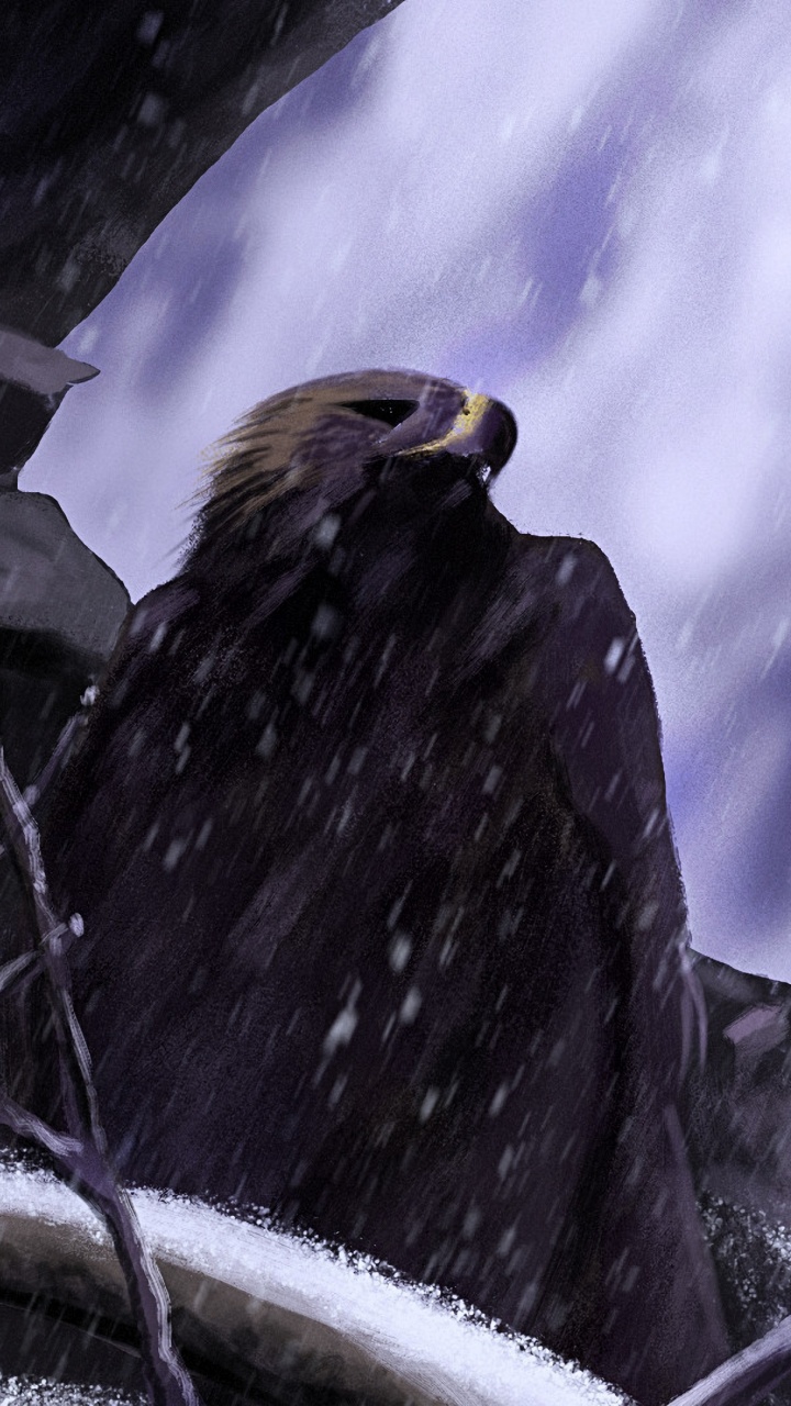 老鹰, 艺术, 鸟, 鸟的猎物, Accipitriformes 壁纸 720x1280 允许