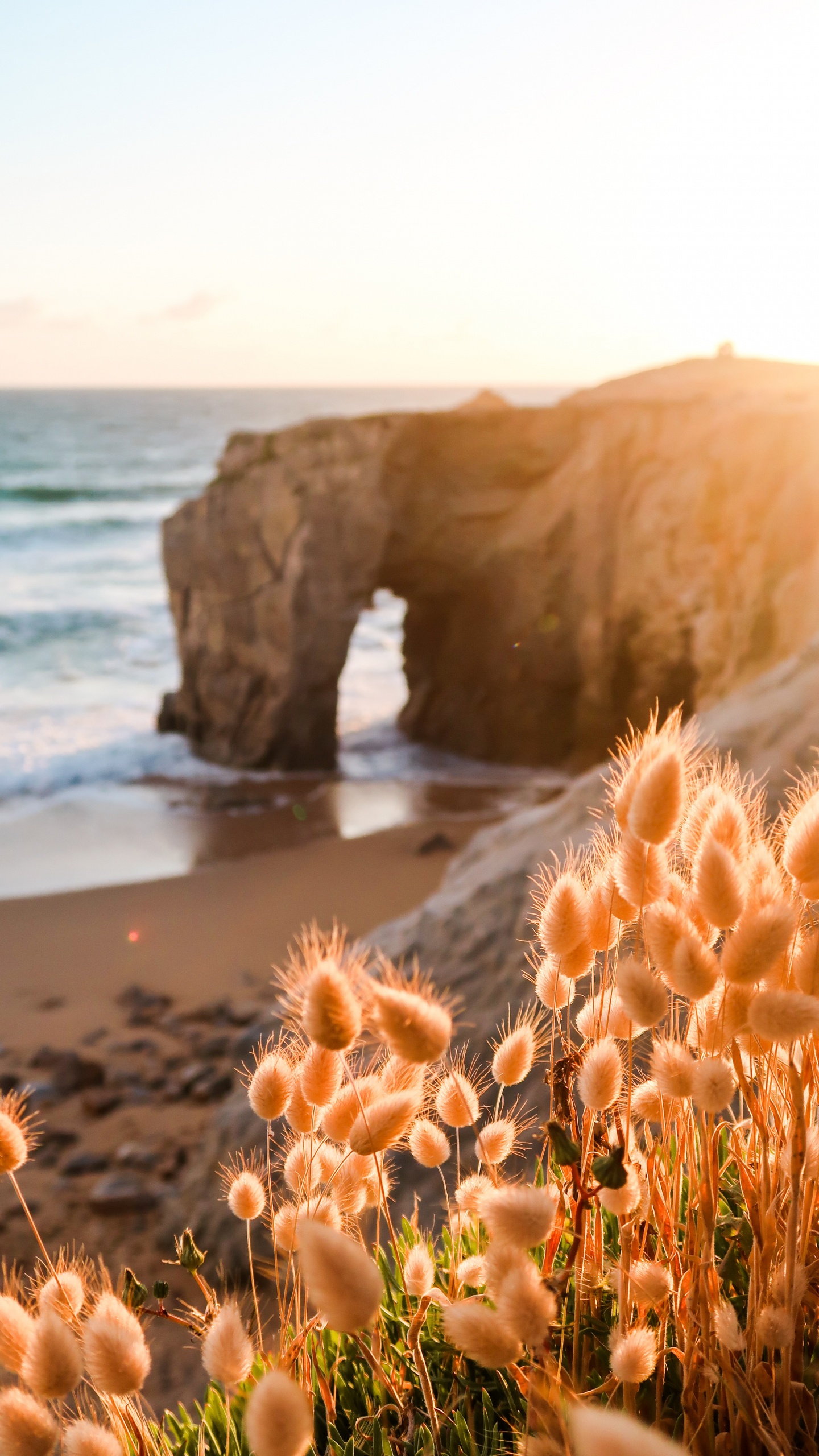 Nature, Paysage Naturel, Côte, Mer, Rive. Wallpaper in 1440x2560 Resolution