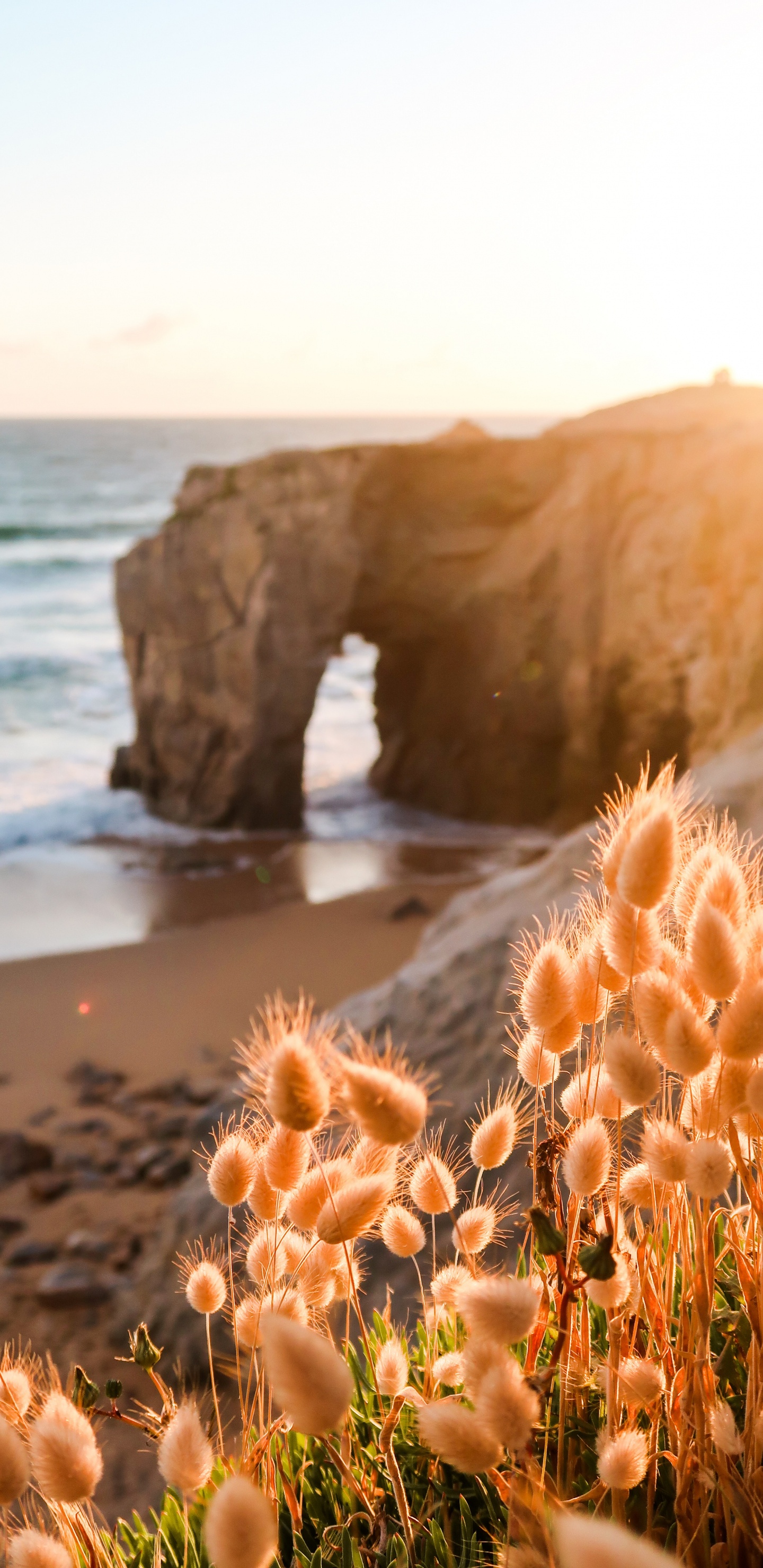 Natur, Naturlandschaft, Küste, Meer, Ufer. Wallpaper in 1440x2960 Resolution