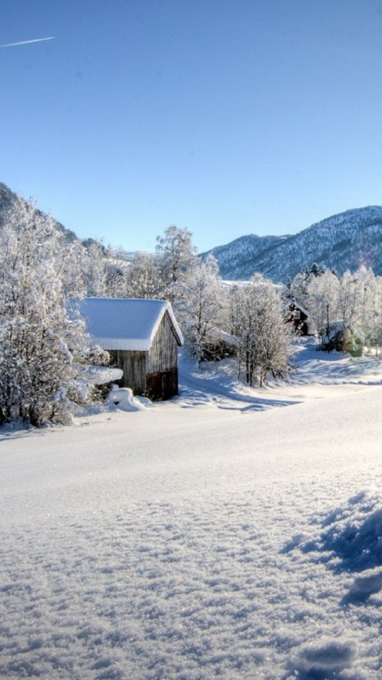 Weißes Und Braunes Haus Auf Schneebedecktem Boden Tagsüber. Wallpaper in 750x1334 Resolution