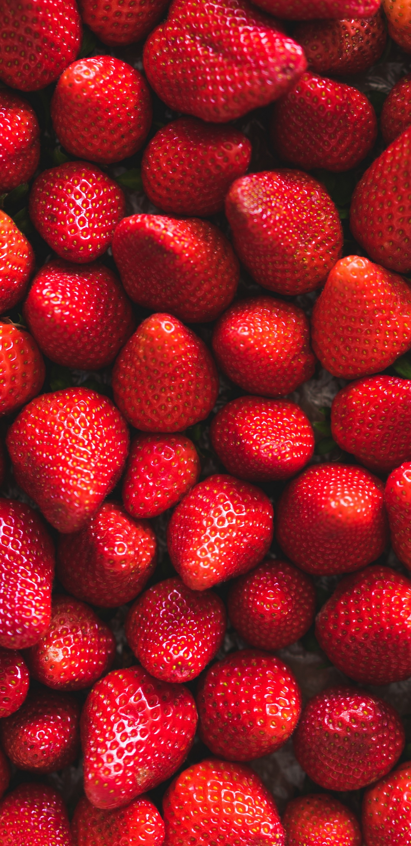 Strawberry, Fruit, Wall, Garnish, Raspberry. Wallpaper in 1440x2960 Resolution