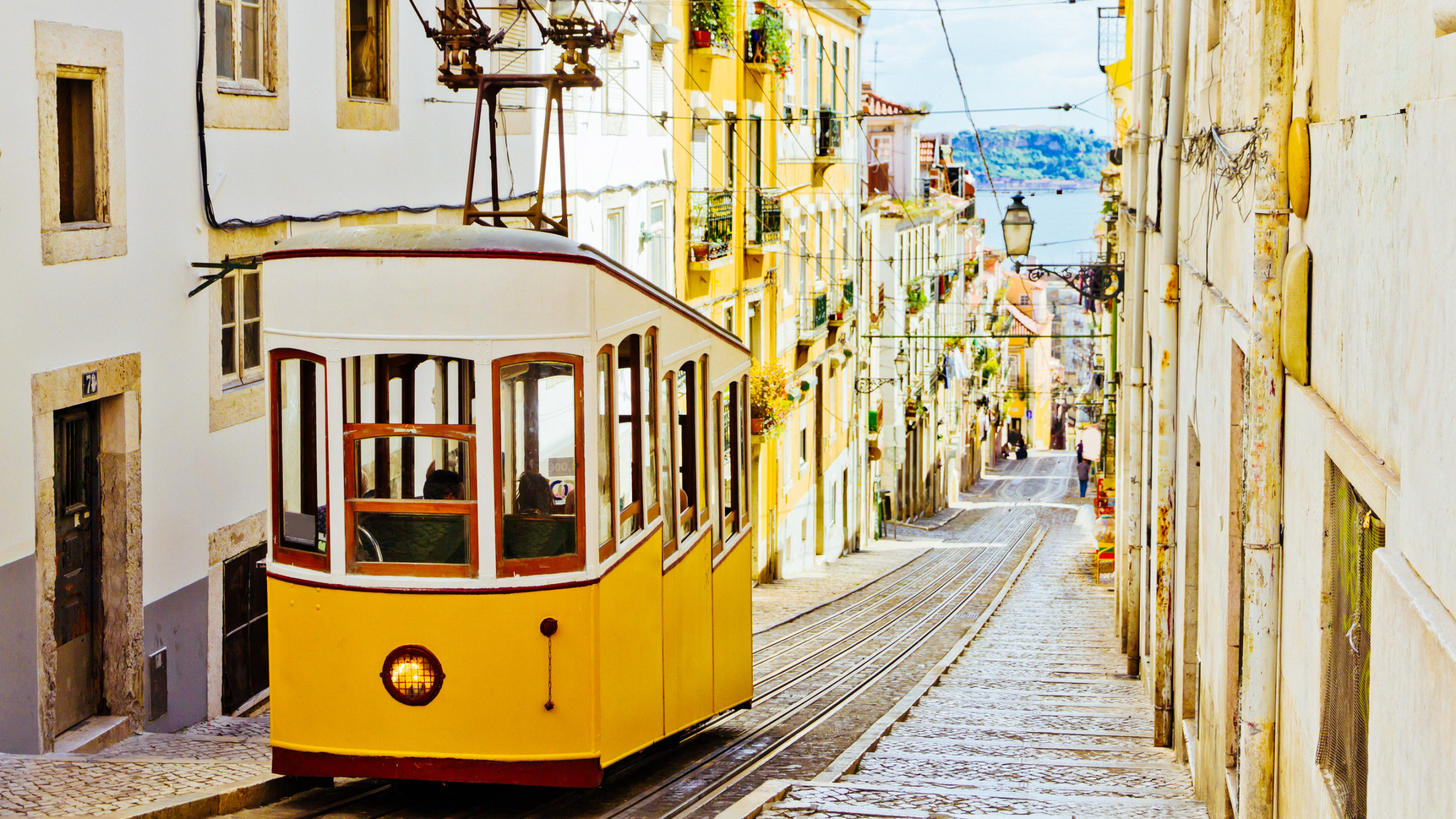 Tram Jaune et Blanc Sur Route Pendant la Journée. Wallpaper in 2560x1440 Resolution
