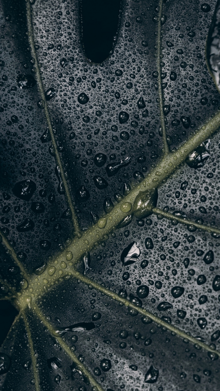 Water, Soundcloud, Web Design, Design, Web Page. Wallpaper in 750x1334 Resolution