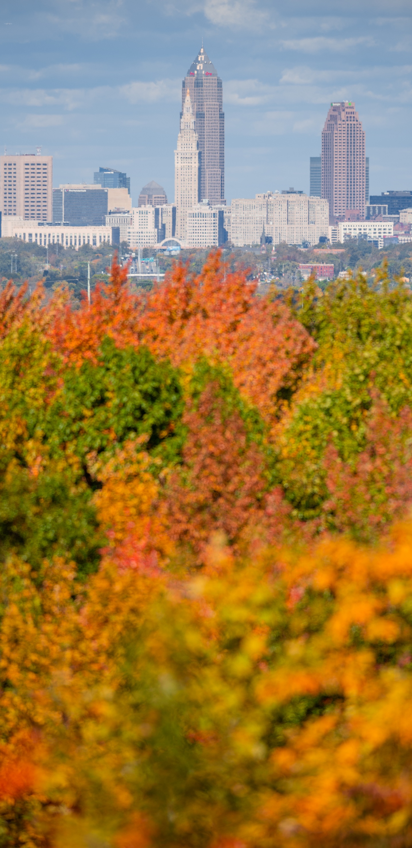 Parc Théodore Roosevelt, Bâtiment, Gratte-ciel, la Journée, Nature. Wallpaper in 1440x2960 Resolution
