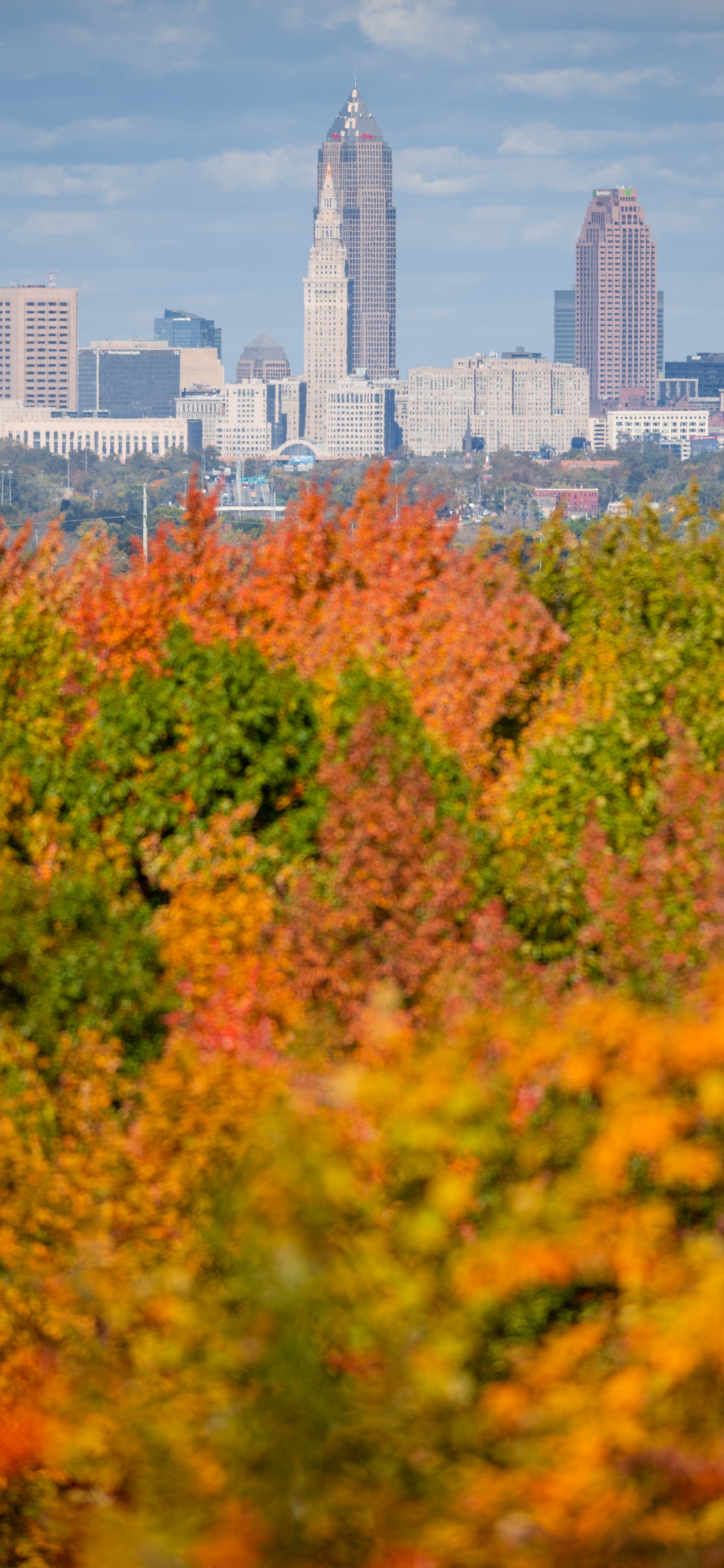 Theodore Roosevelt Park, Building, Skyscraper, Cloud, Daytime. Wallpaper in 1125x2436 Resolution