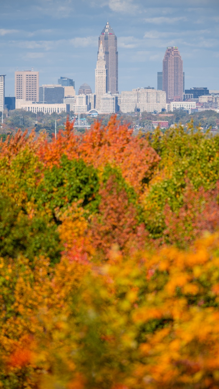 Theodore Roosevelt Park, Building, Skyscraper, Cloud, Daytime. Wallpaper in 720x1280 Resolution