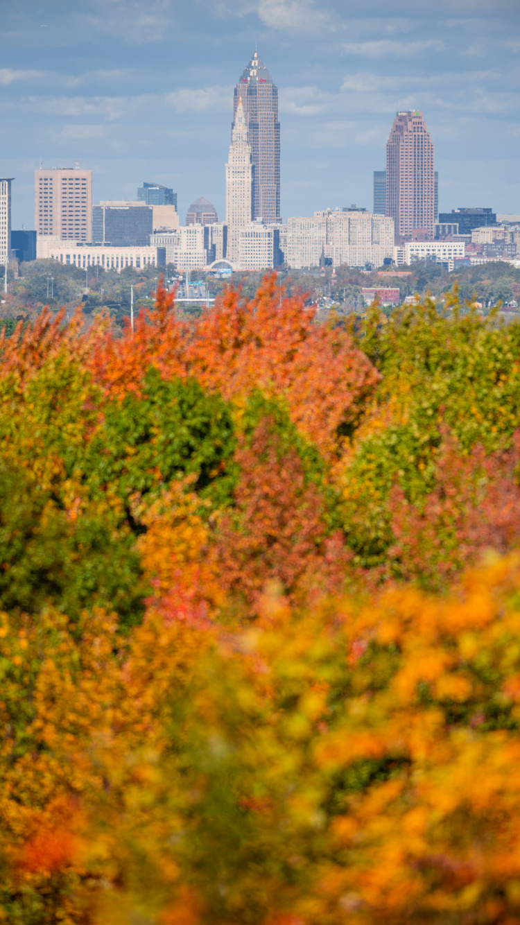 Theodore Roosevelt Park, Building, Skyscraper, Cloud, Daytime. Wallpaper in 750x1334 Resolution